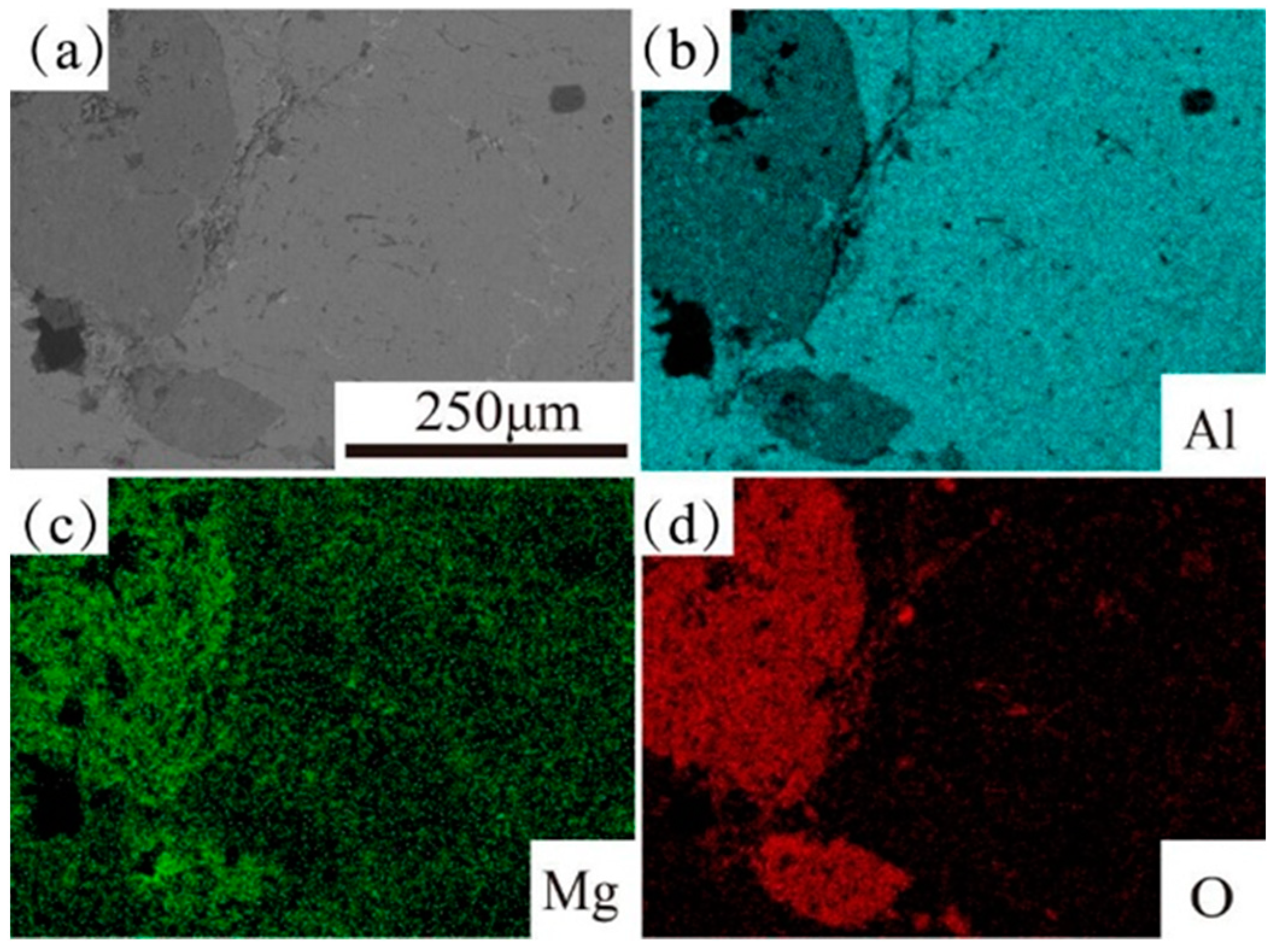 Preprints 84123 g021