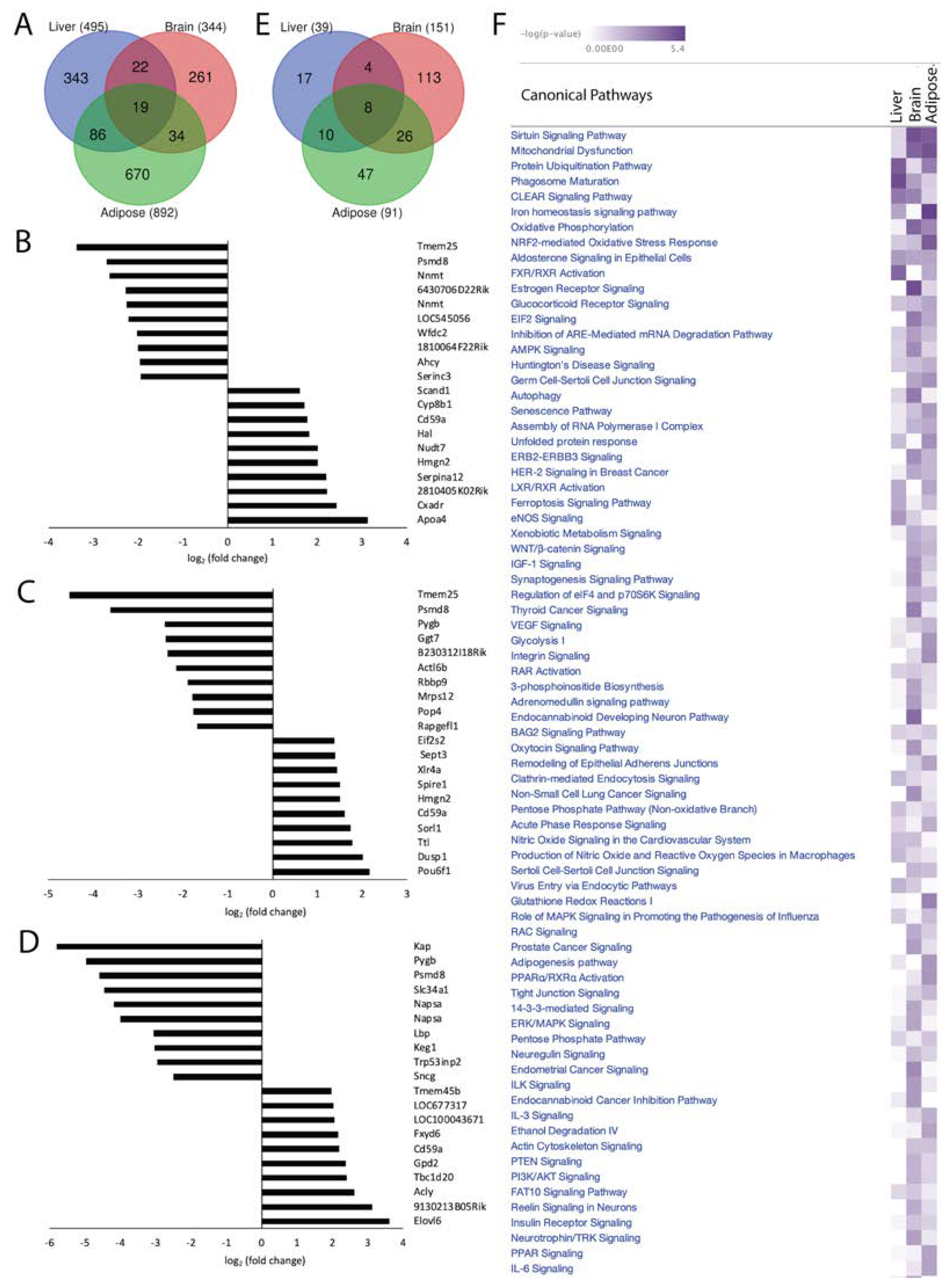 Preprints 67516 g002