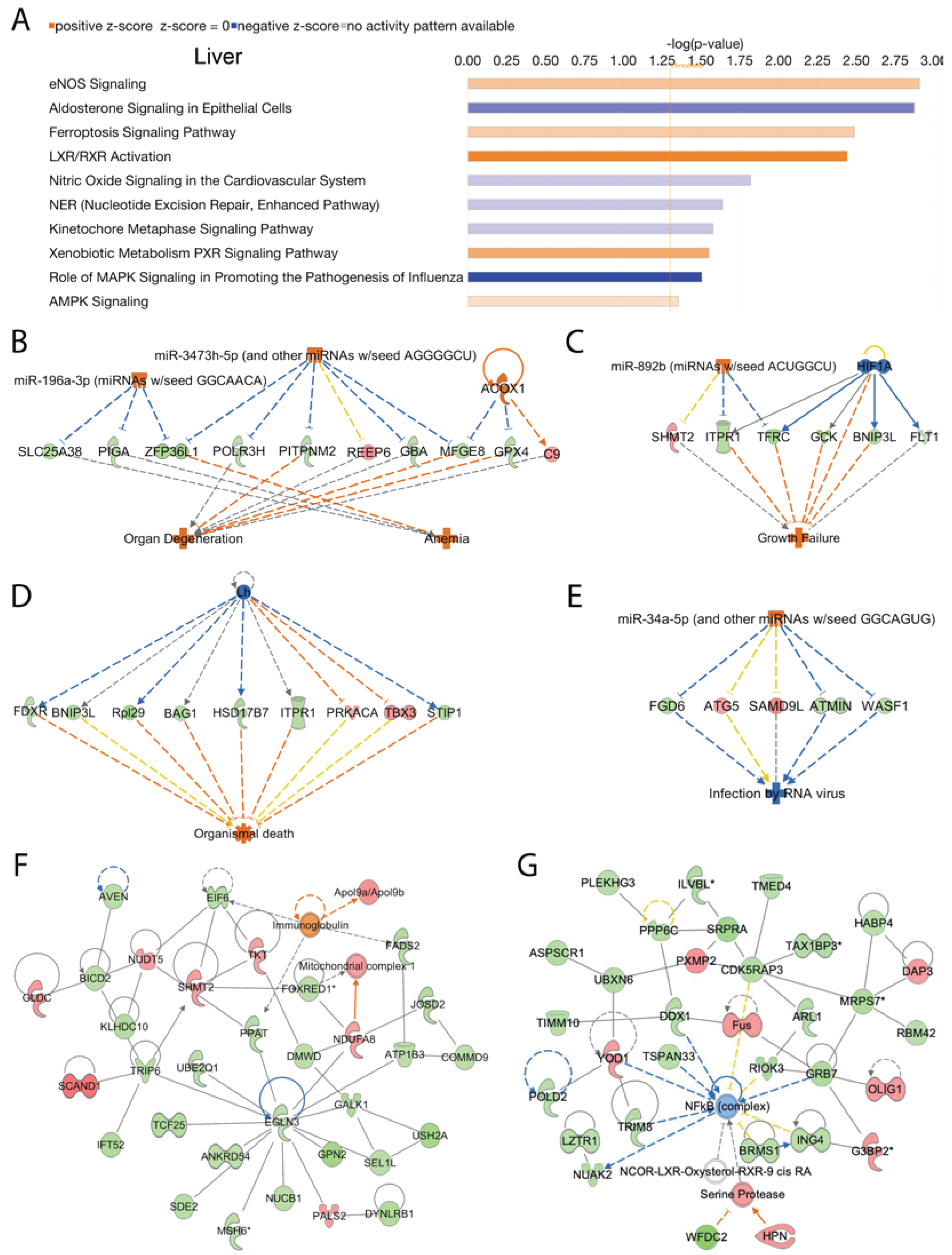 Preprints 67516 g003