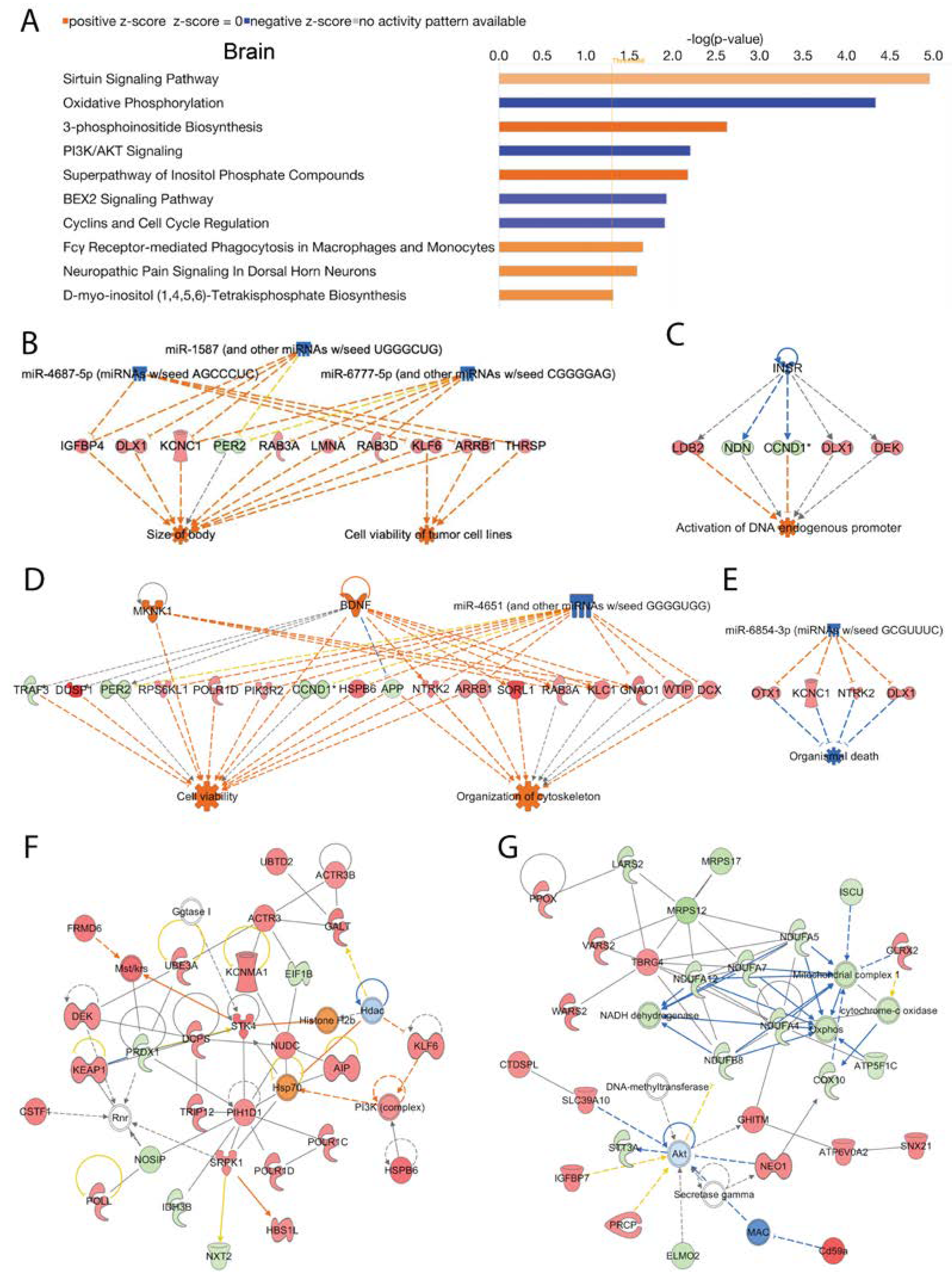 Preprints 67516 g004