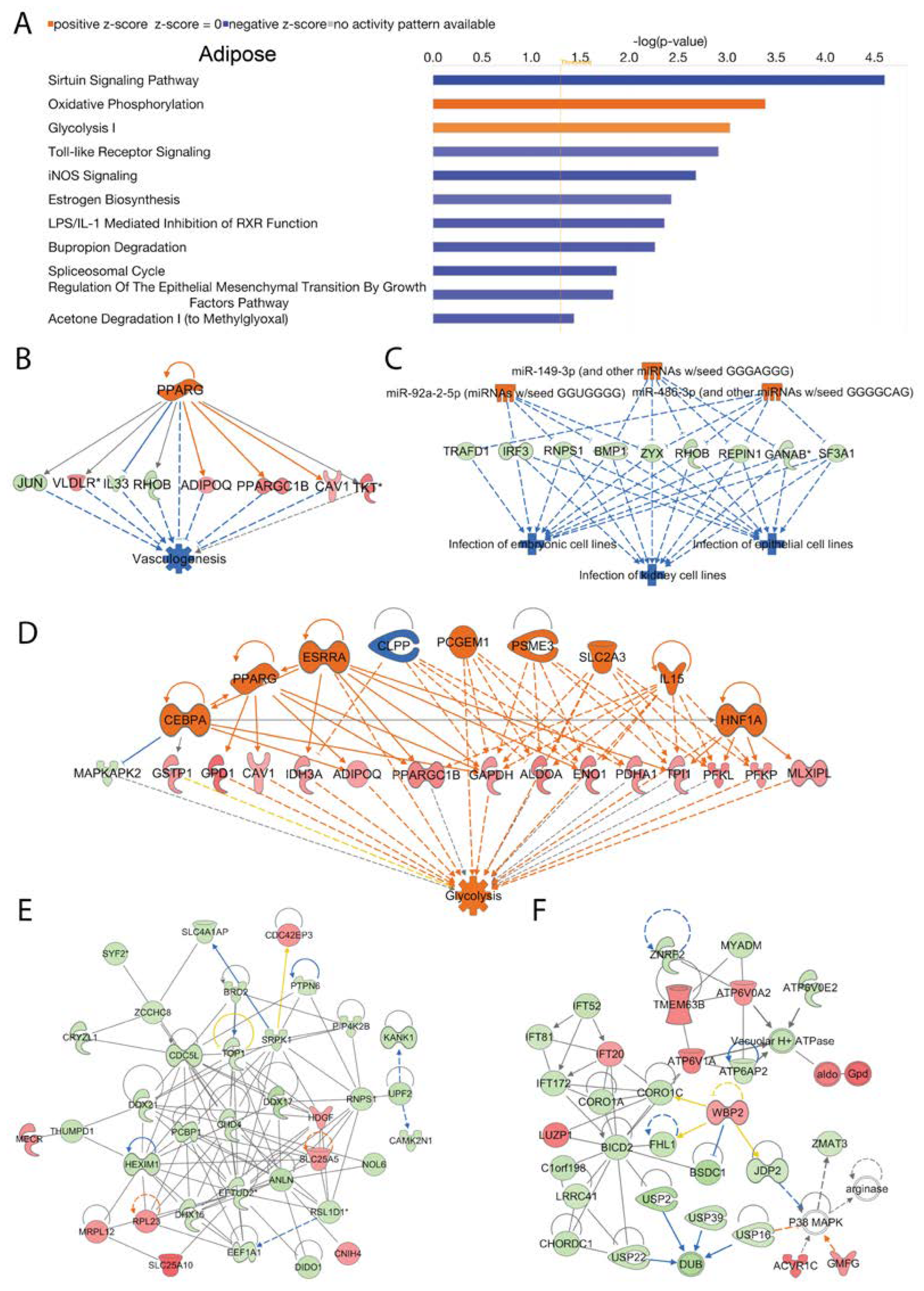 Preprints 67516 g005