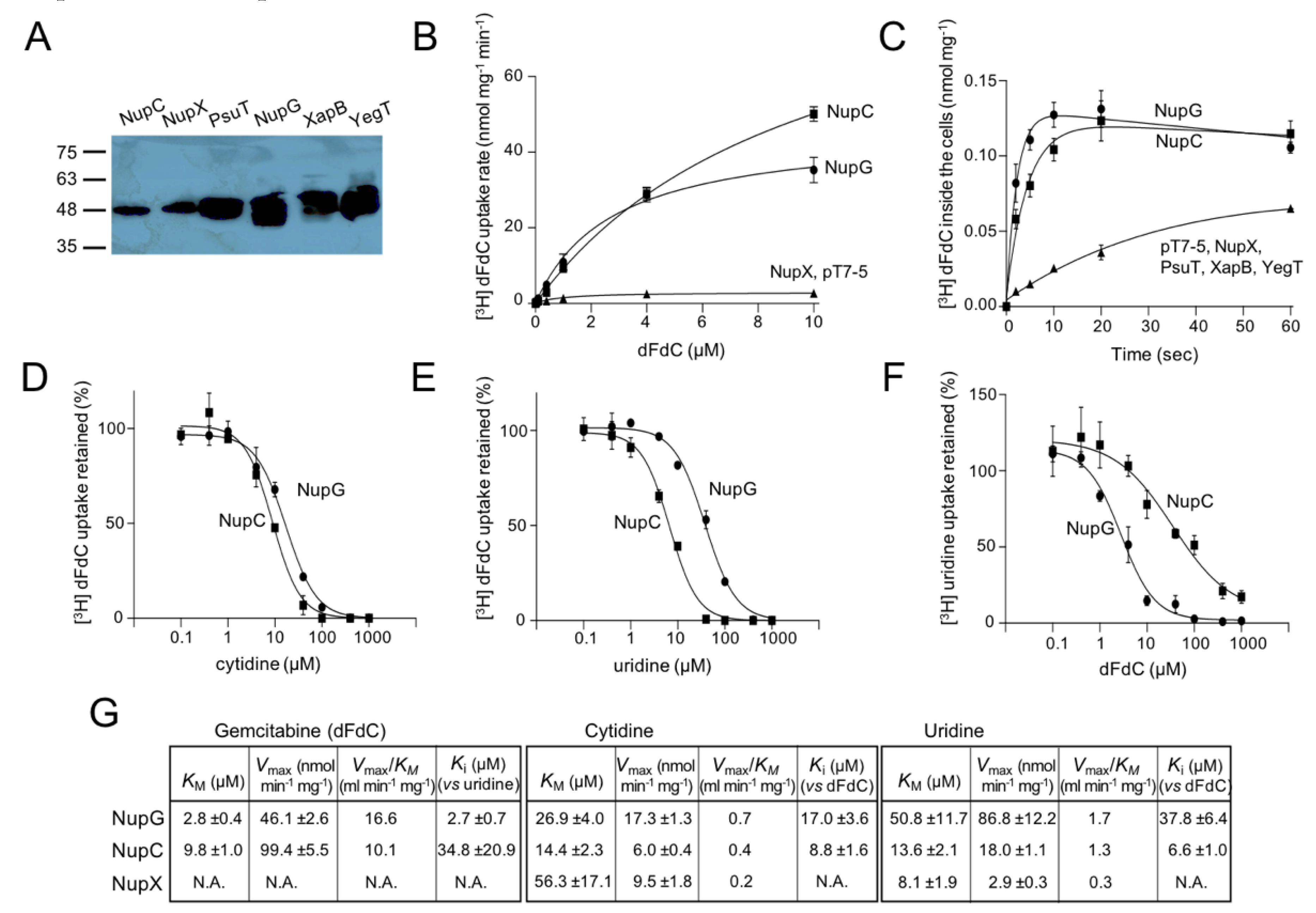 Preprints 108378 g001