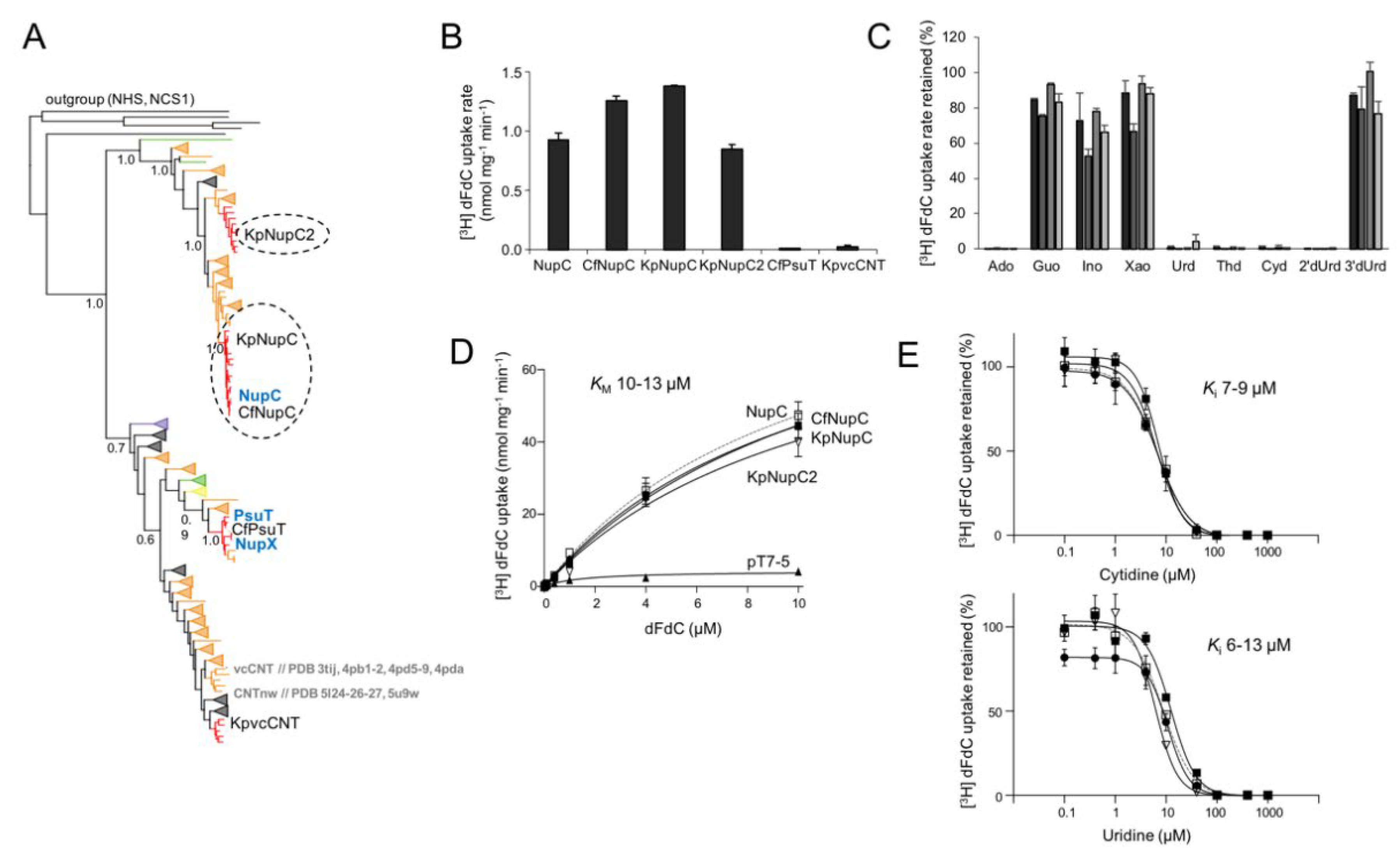 Preprints 108378 g002