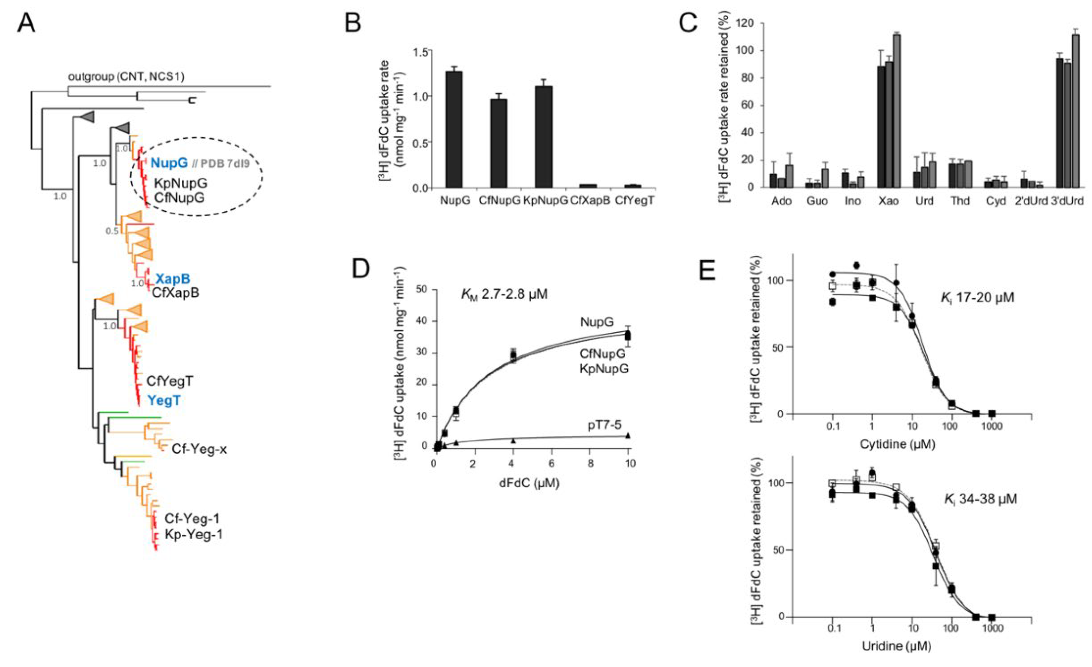 Preprints 108378 g003