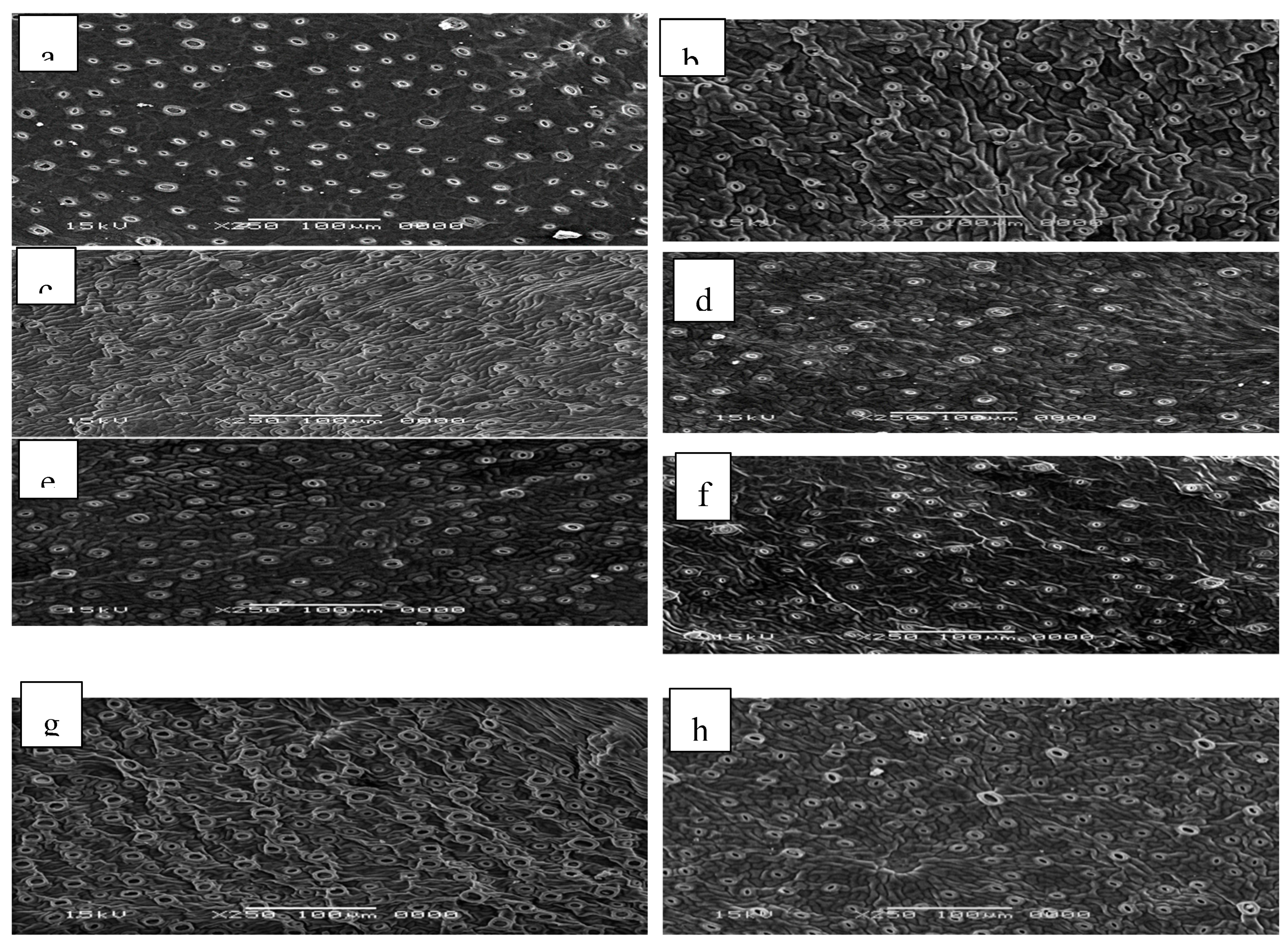 Preprints 79810 g006