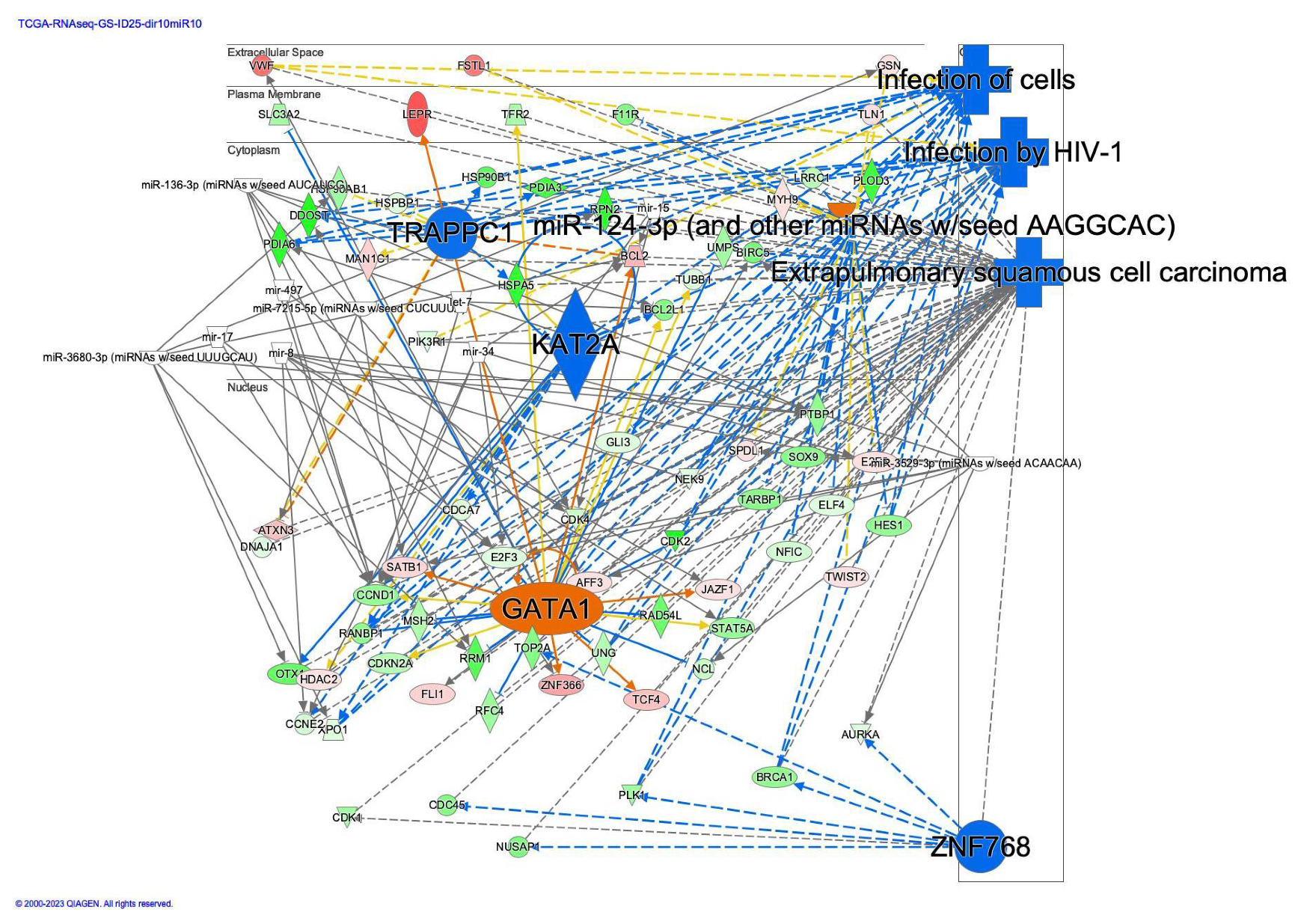 Preprints 110963 g006