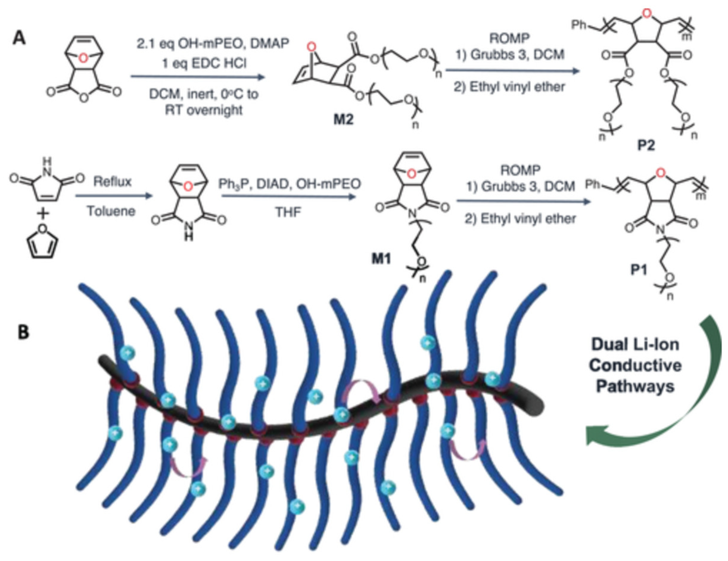 Preprints 95443 g006