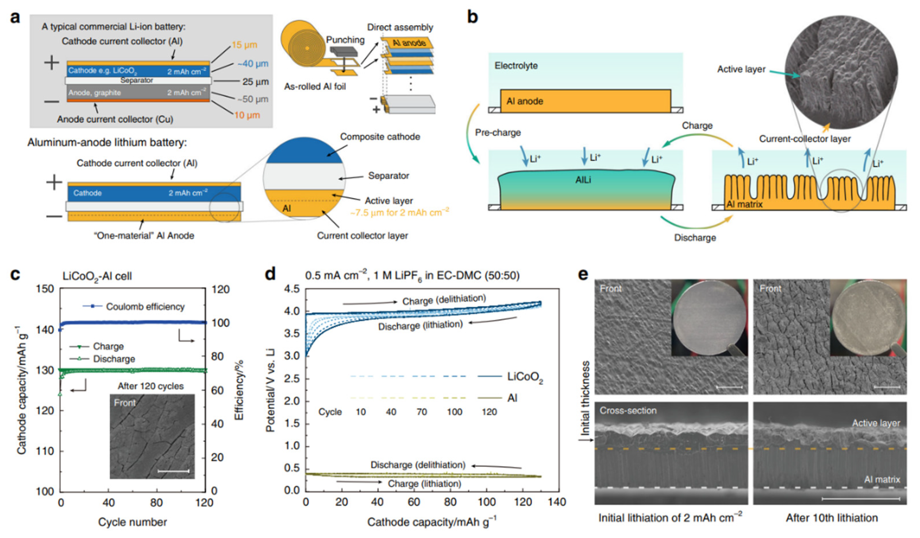 Preprints 95443 g009