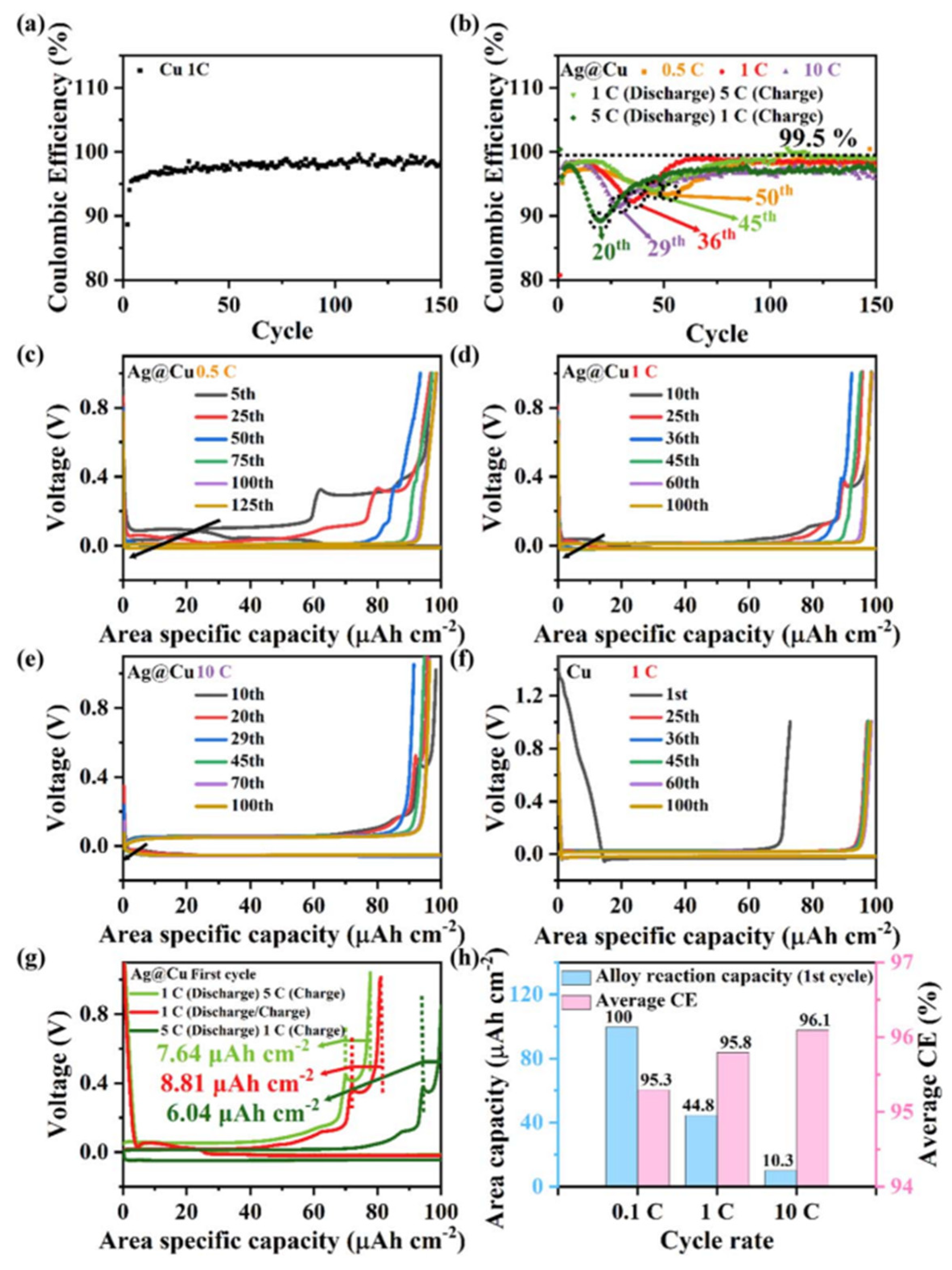 Preprints 95443 g011