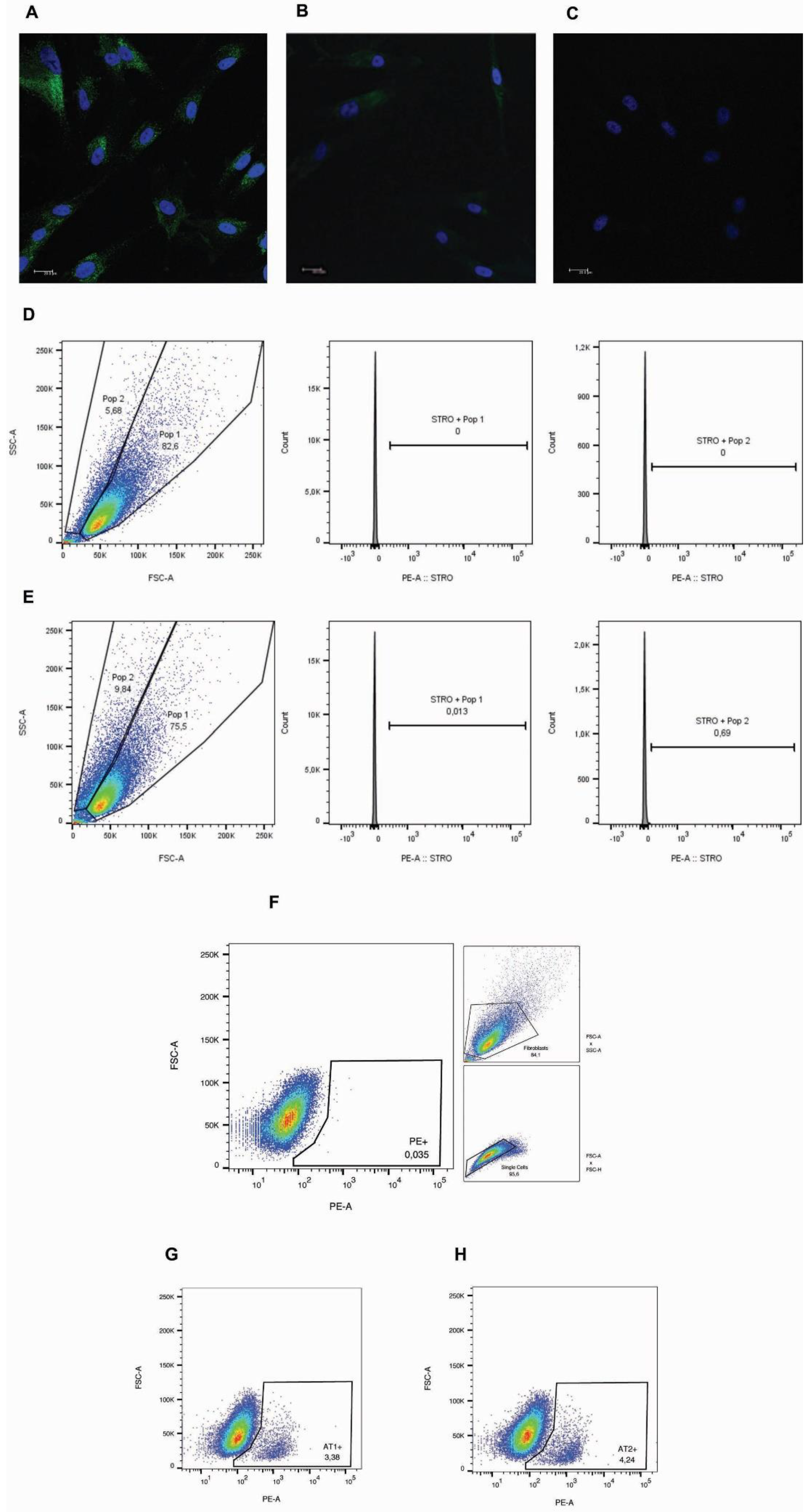 Preprints 79364 g001