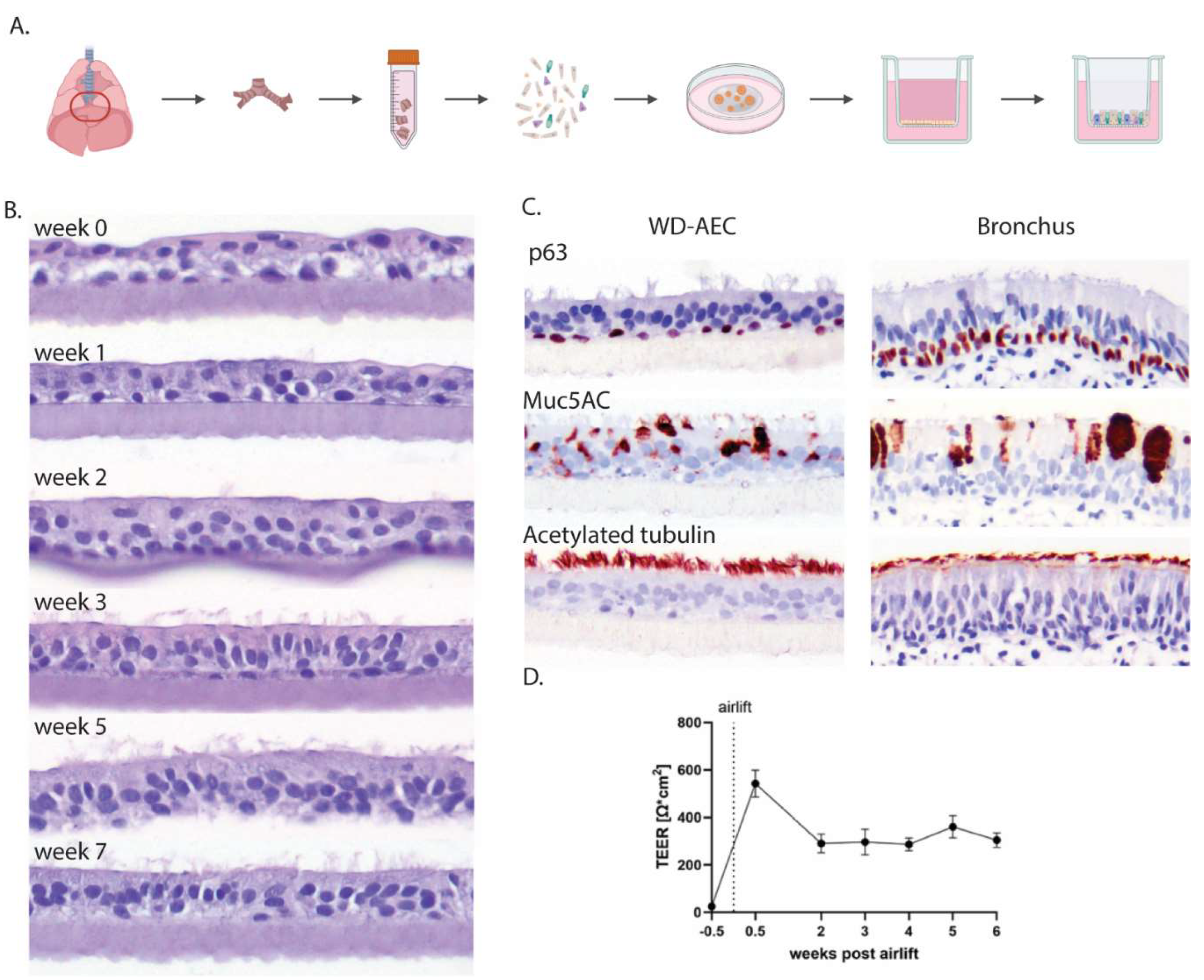 Preprints 120458 g001