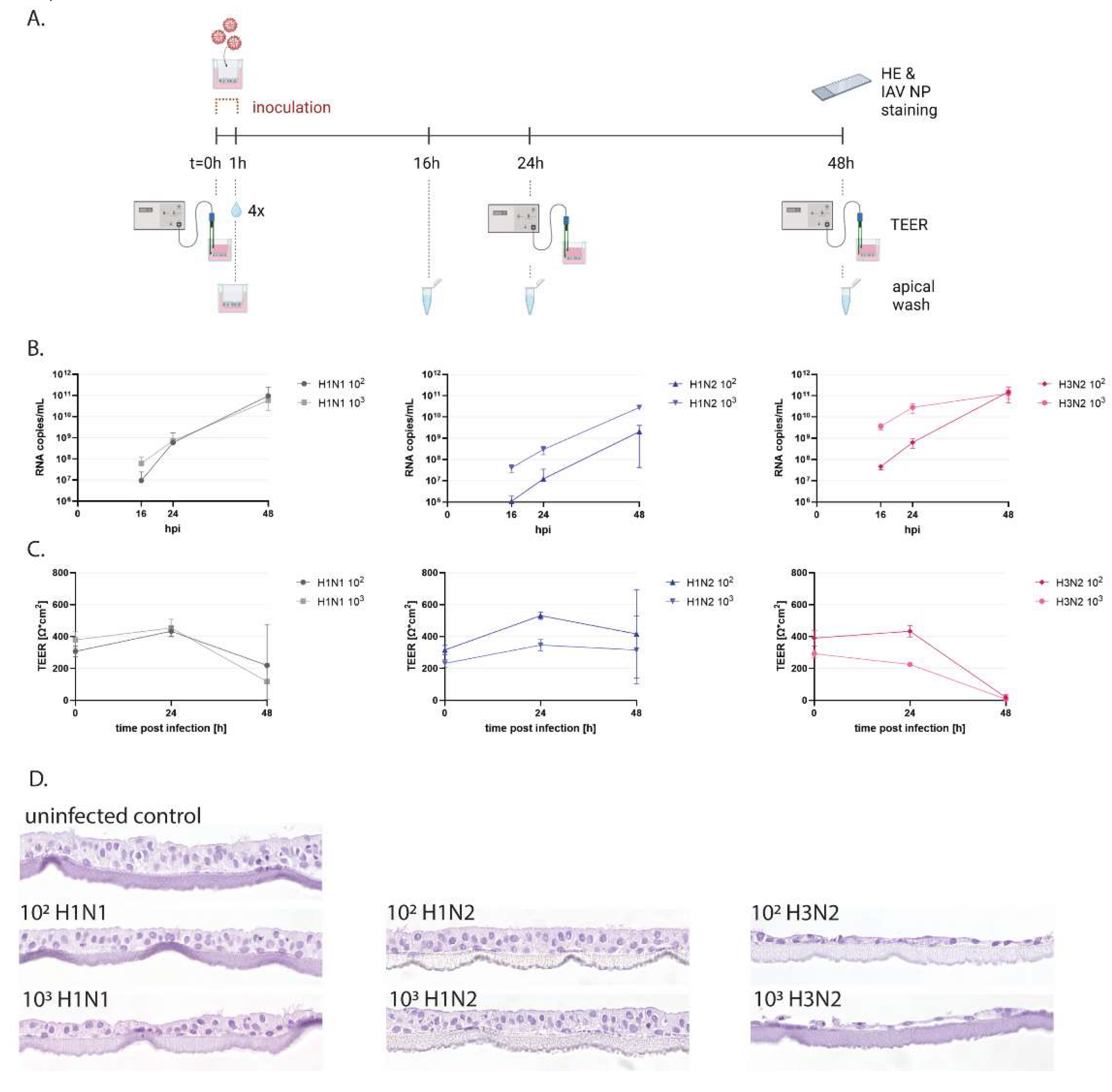 Preprints 120458 g003