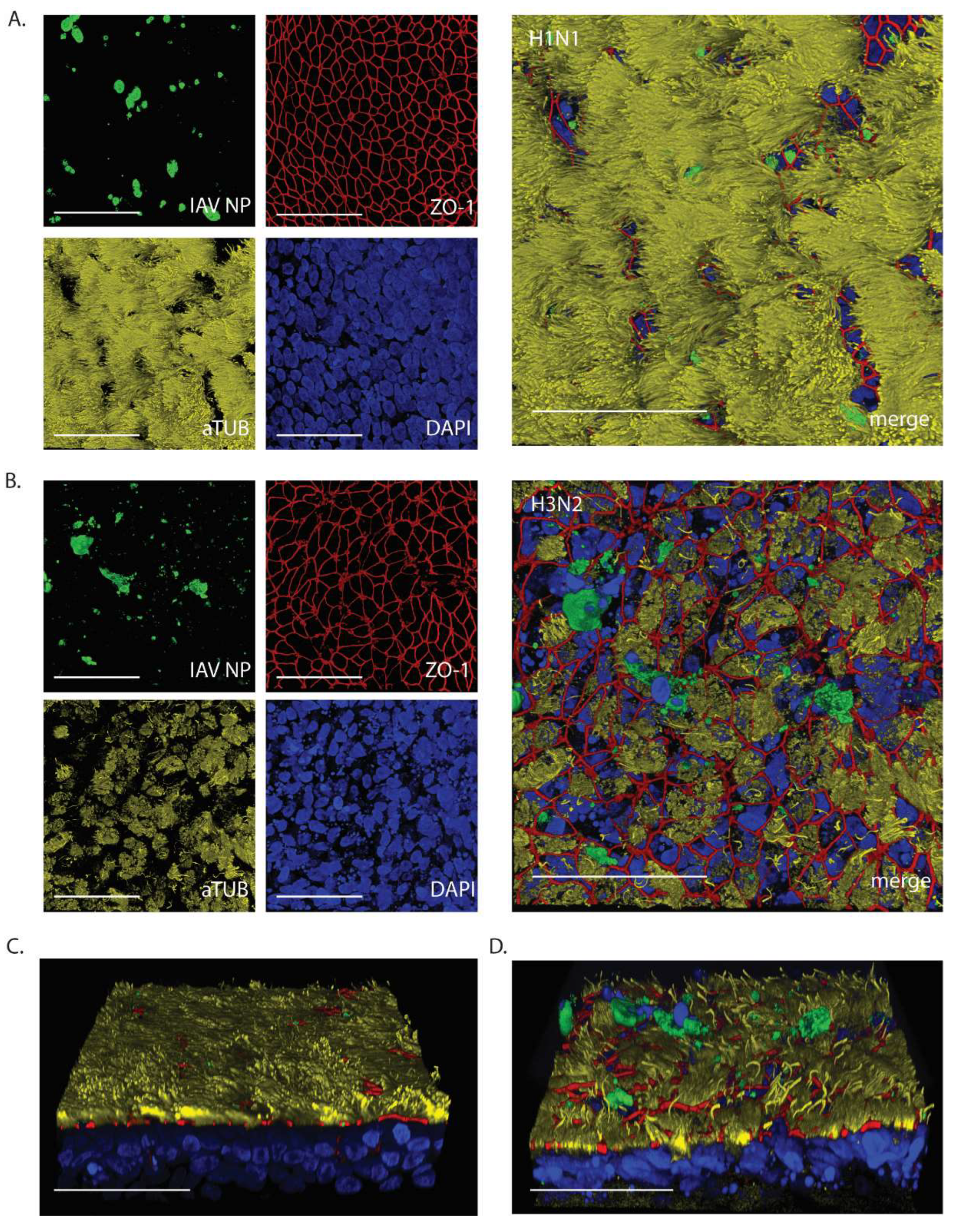 Preprints 120458 g004