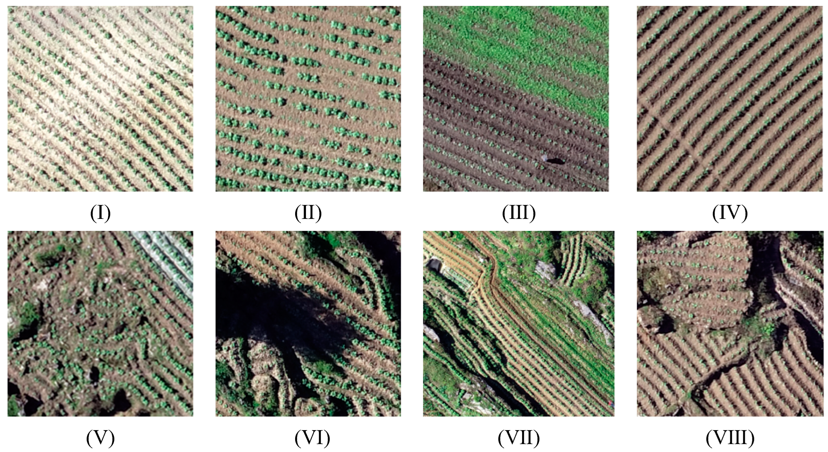 Preprints 96387 g004