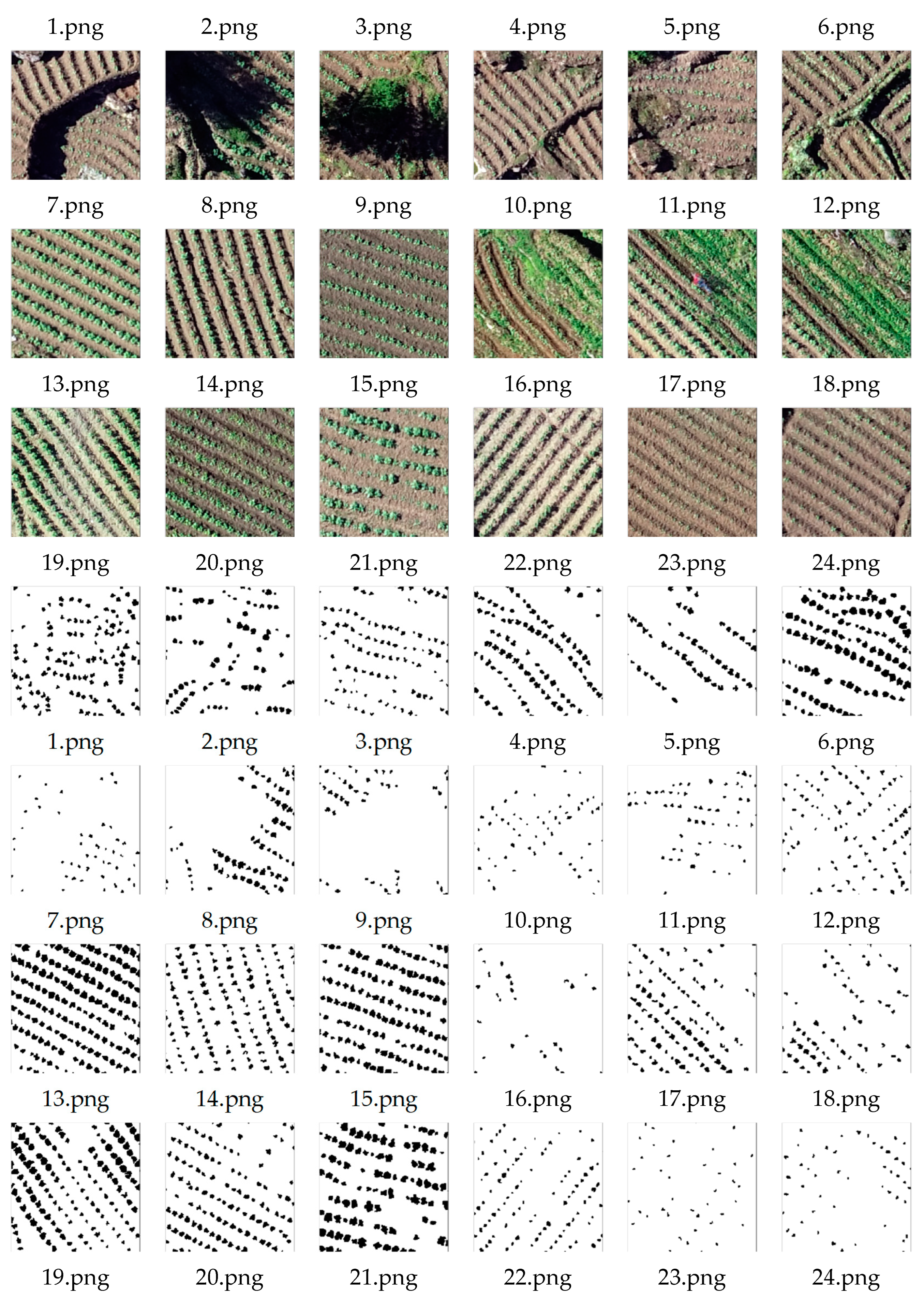 Preprints 96387 g005b