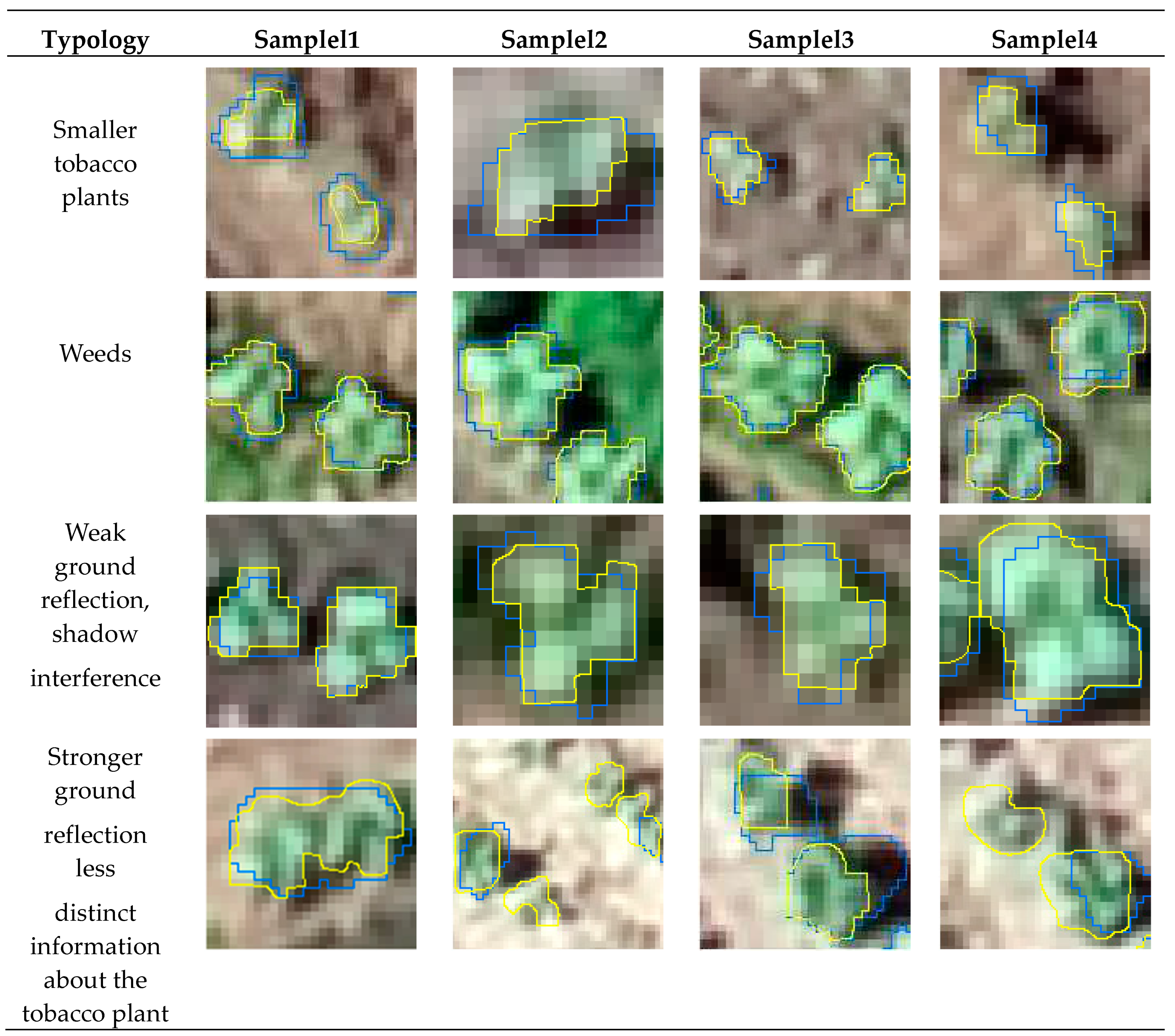 Preprints 96387 g008