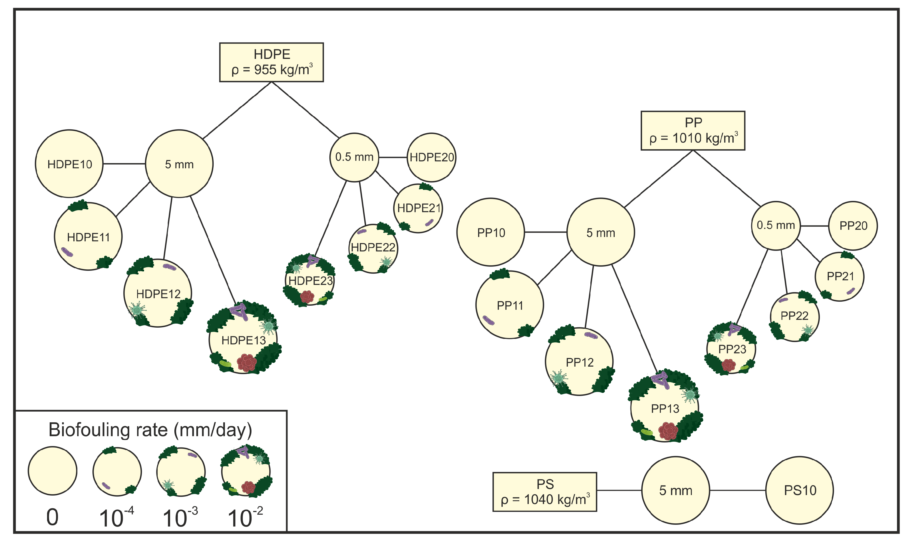 Preprints 92062 g002