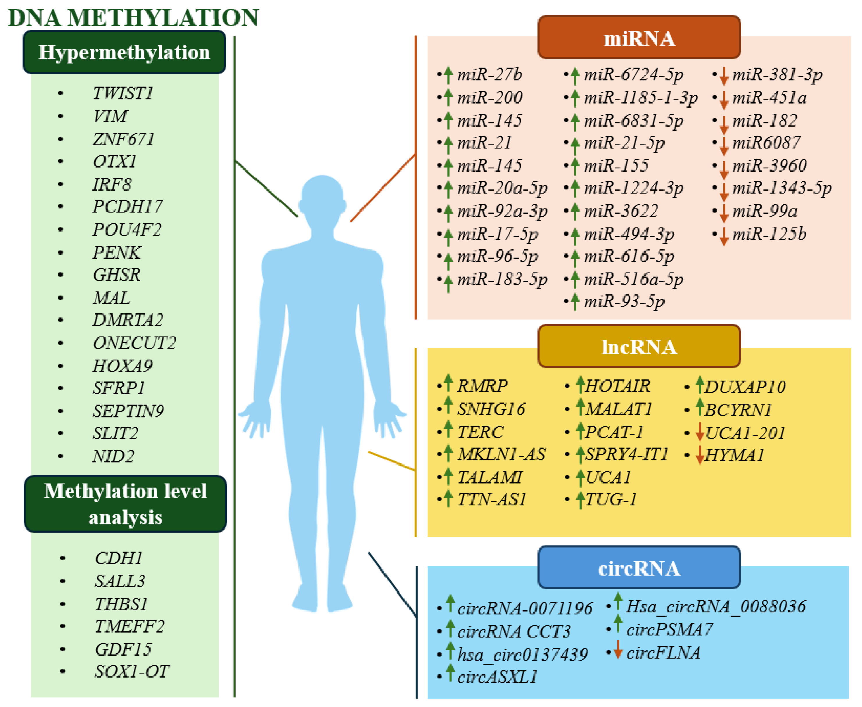 Preprints 138500 g001