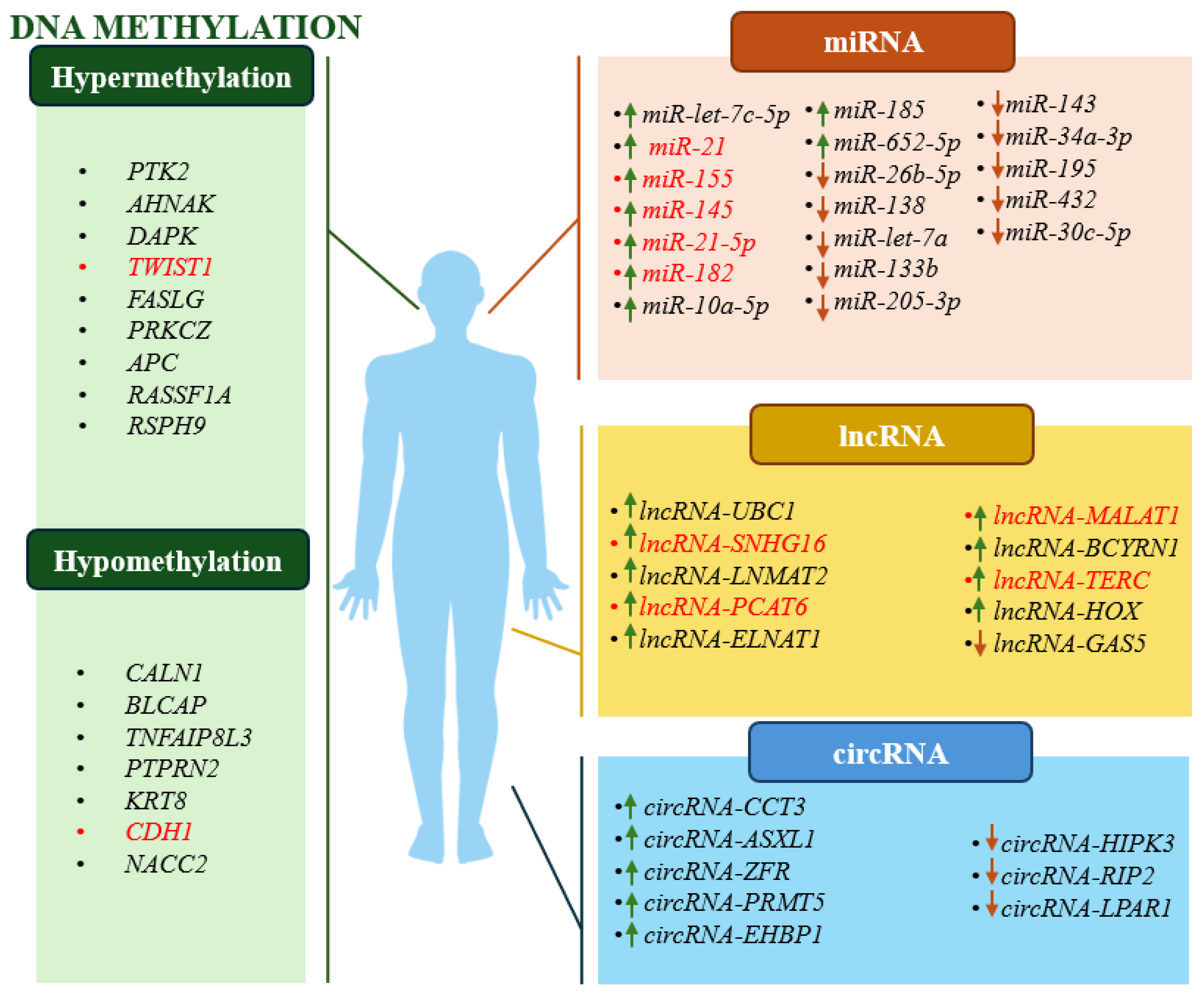 Preprints 138500 g002