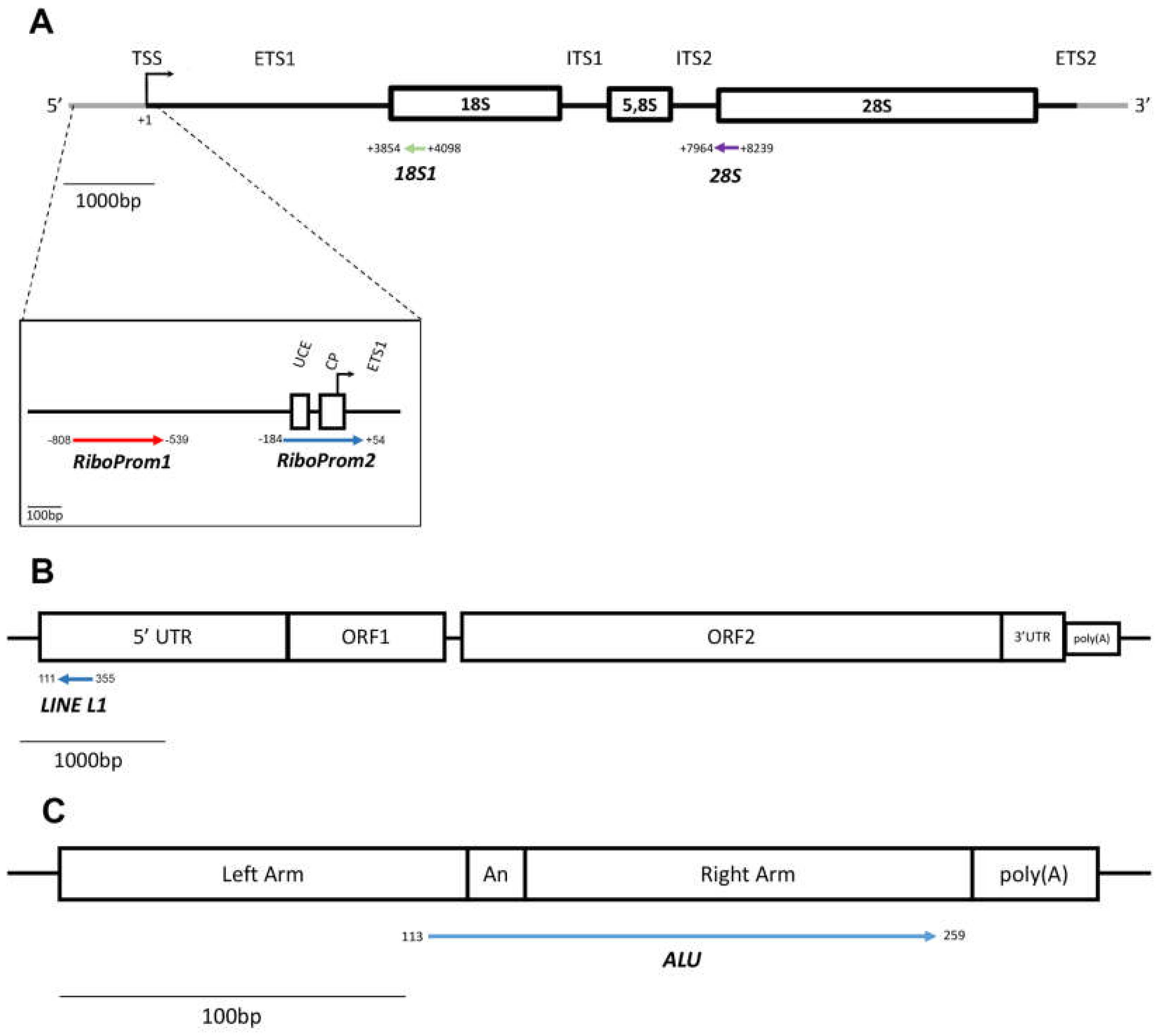 Preprints 71923 g009