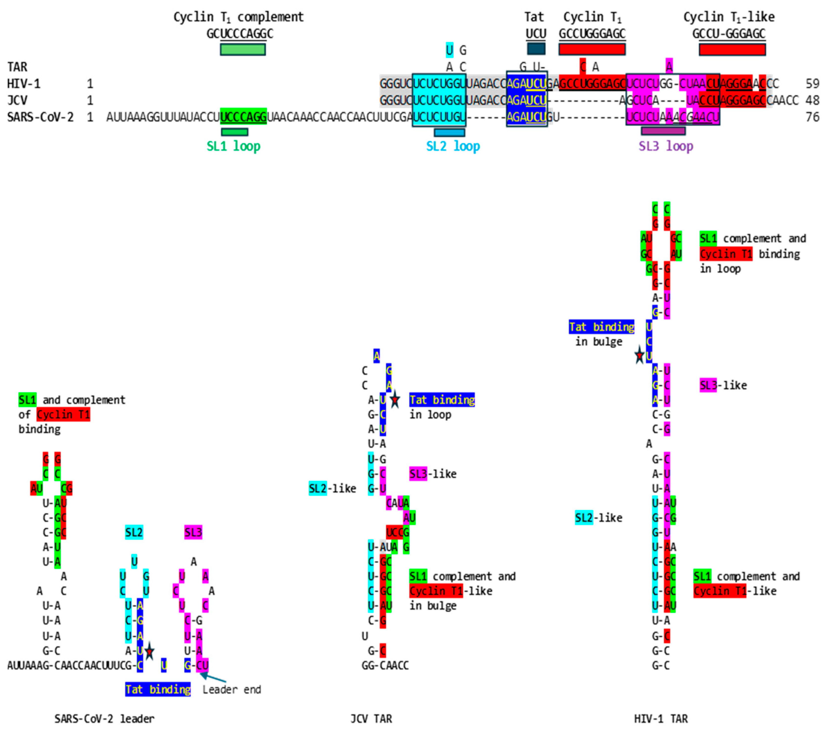 Preprints 97496 g001