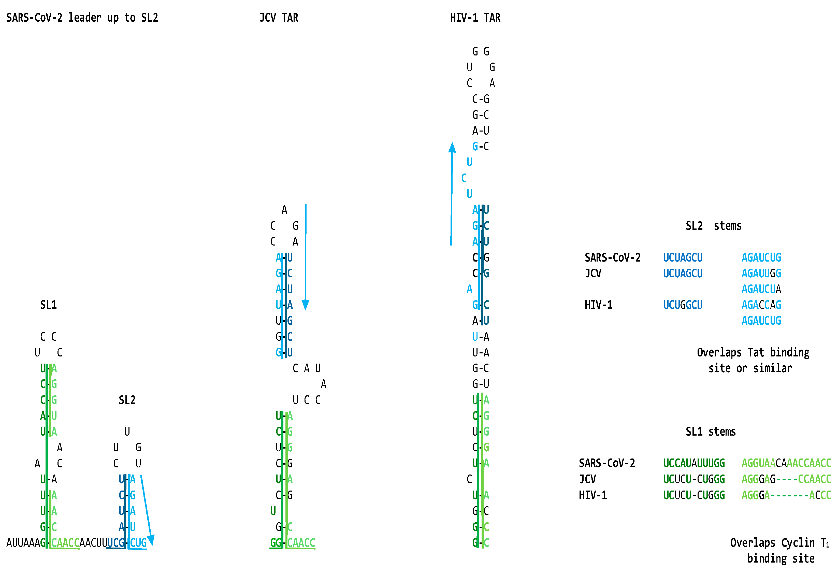 Preprints 97496 g002