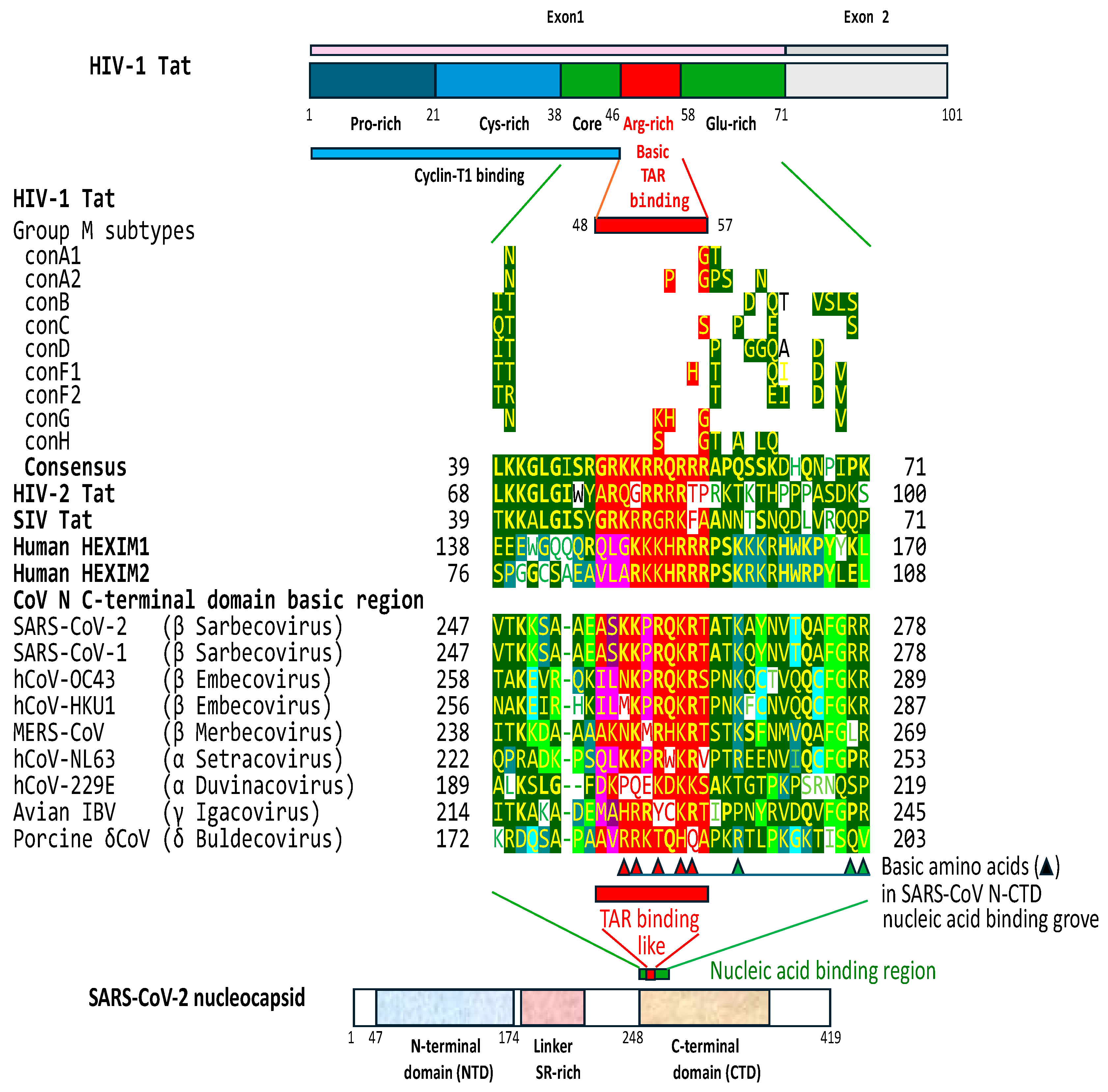 Preprints 97496 g005