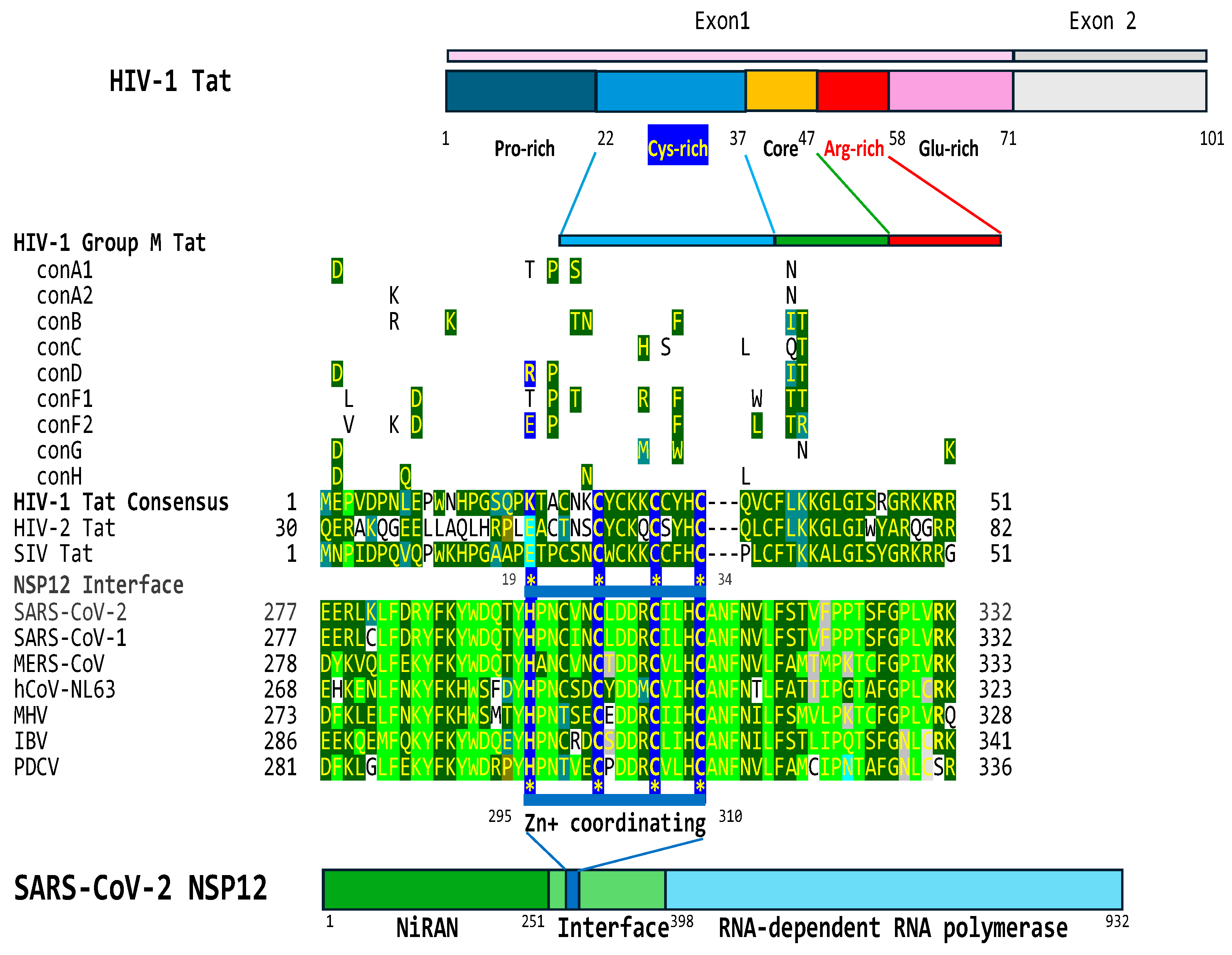 Preprints 97496 g006