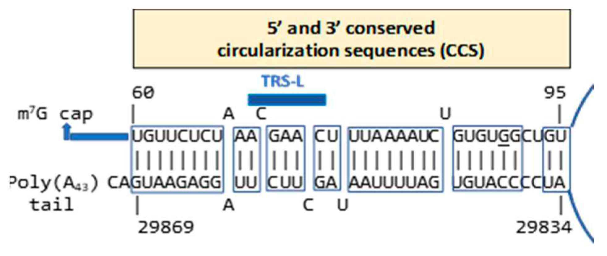 Preprints 97496 g009