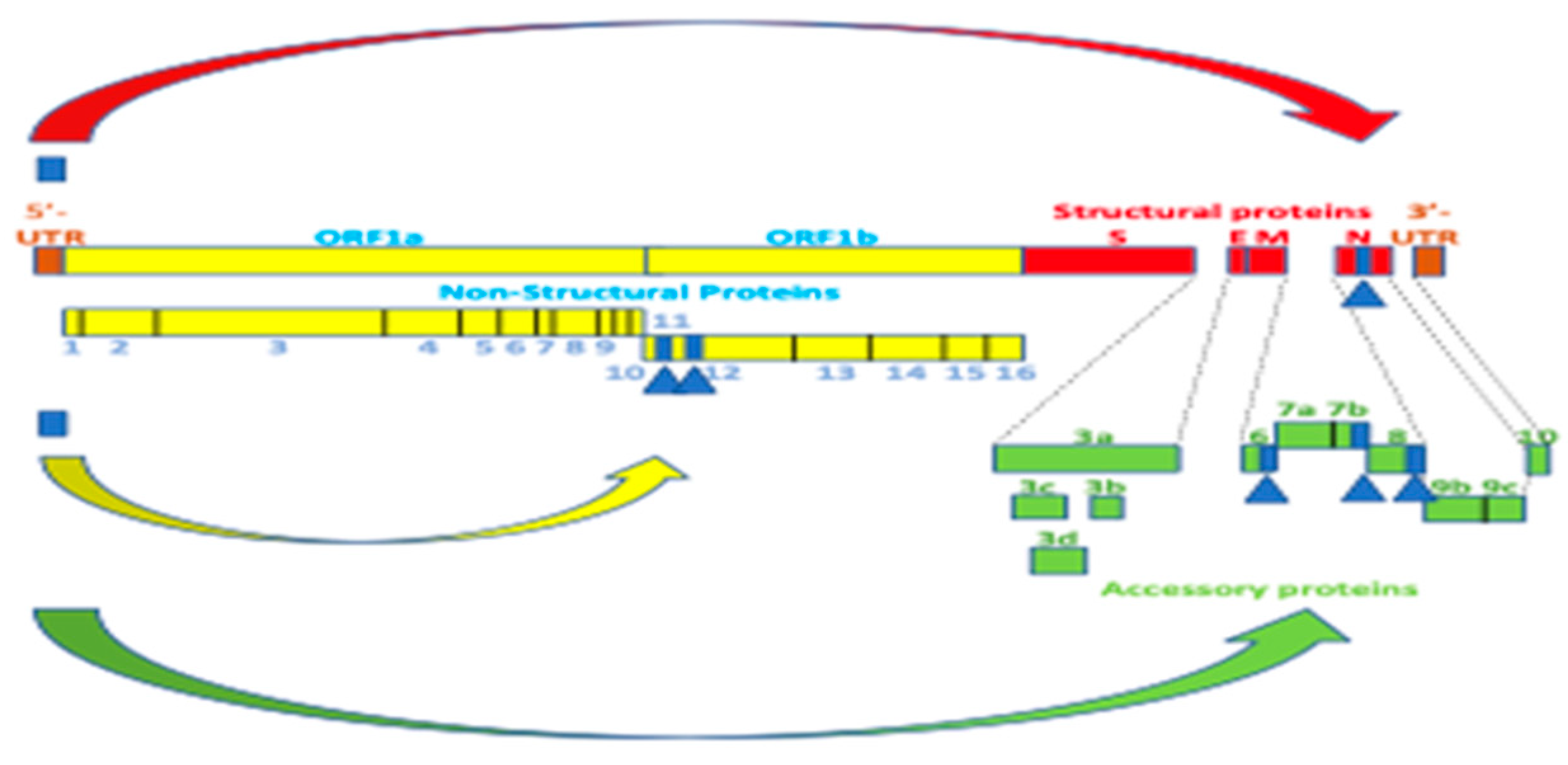 Preprints 97496 g010