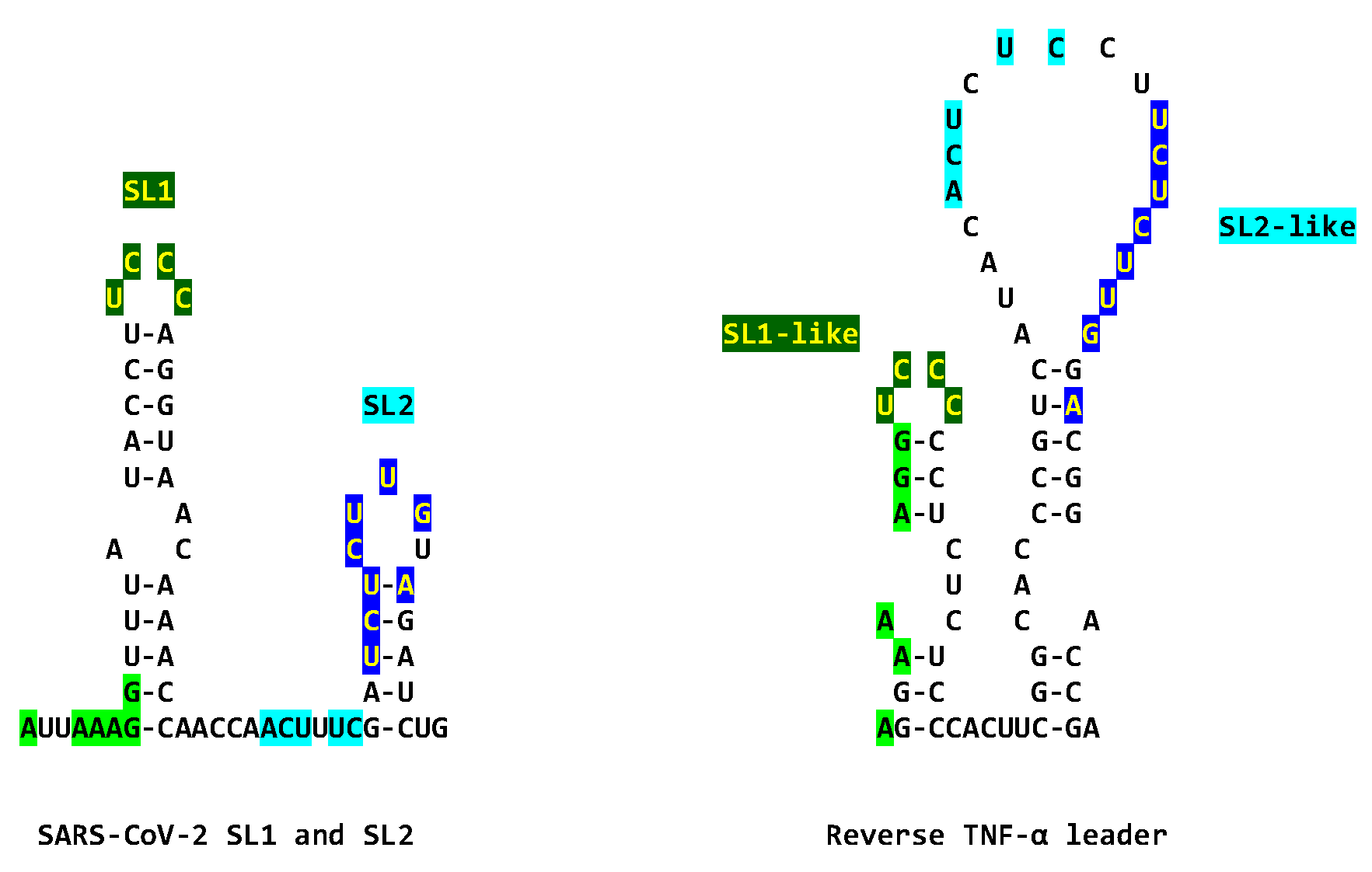 Preprints 97496 g011