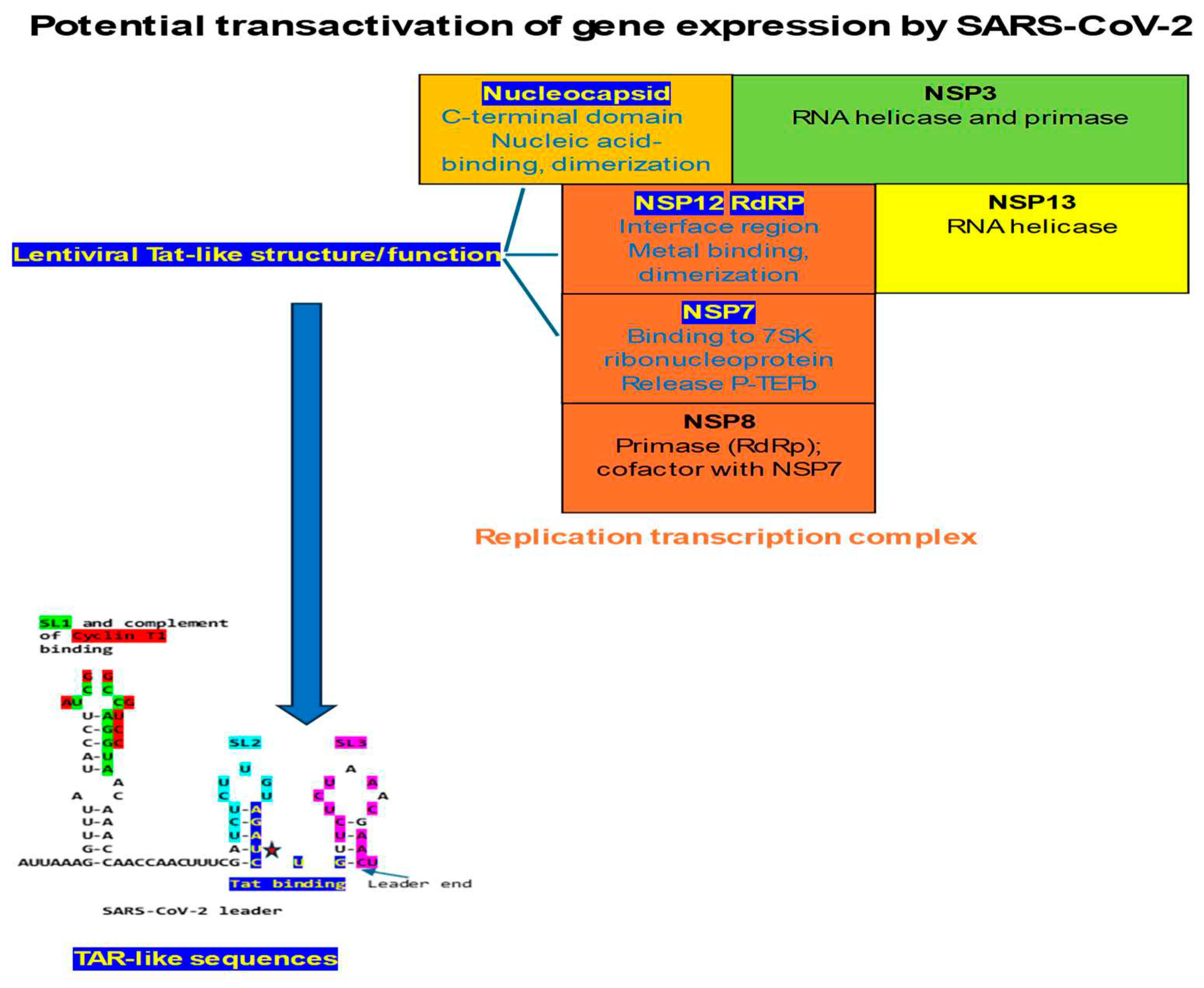 Preprints 97496 g012