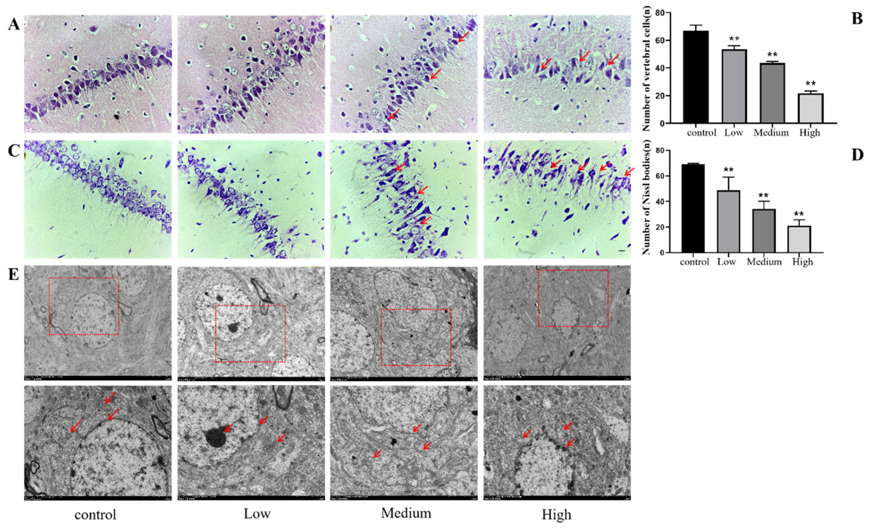 Preprints 89490 g008