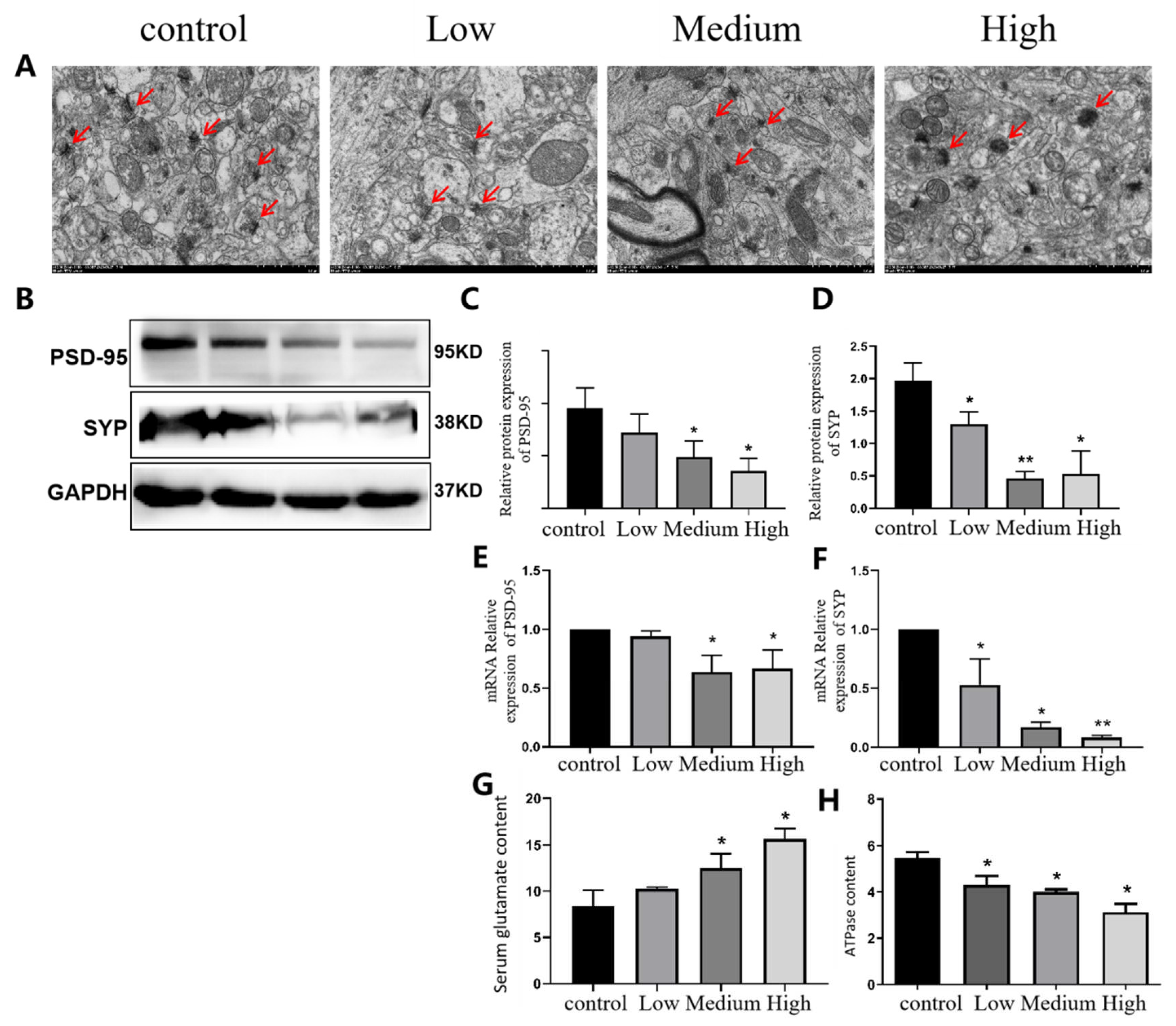 Preprints 89490 g009