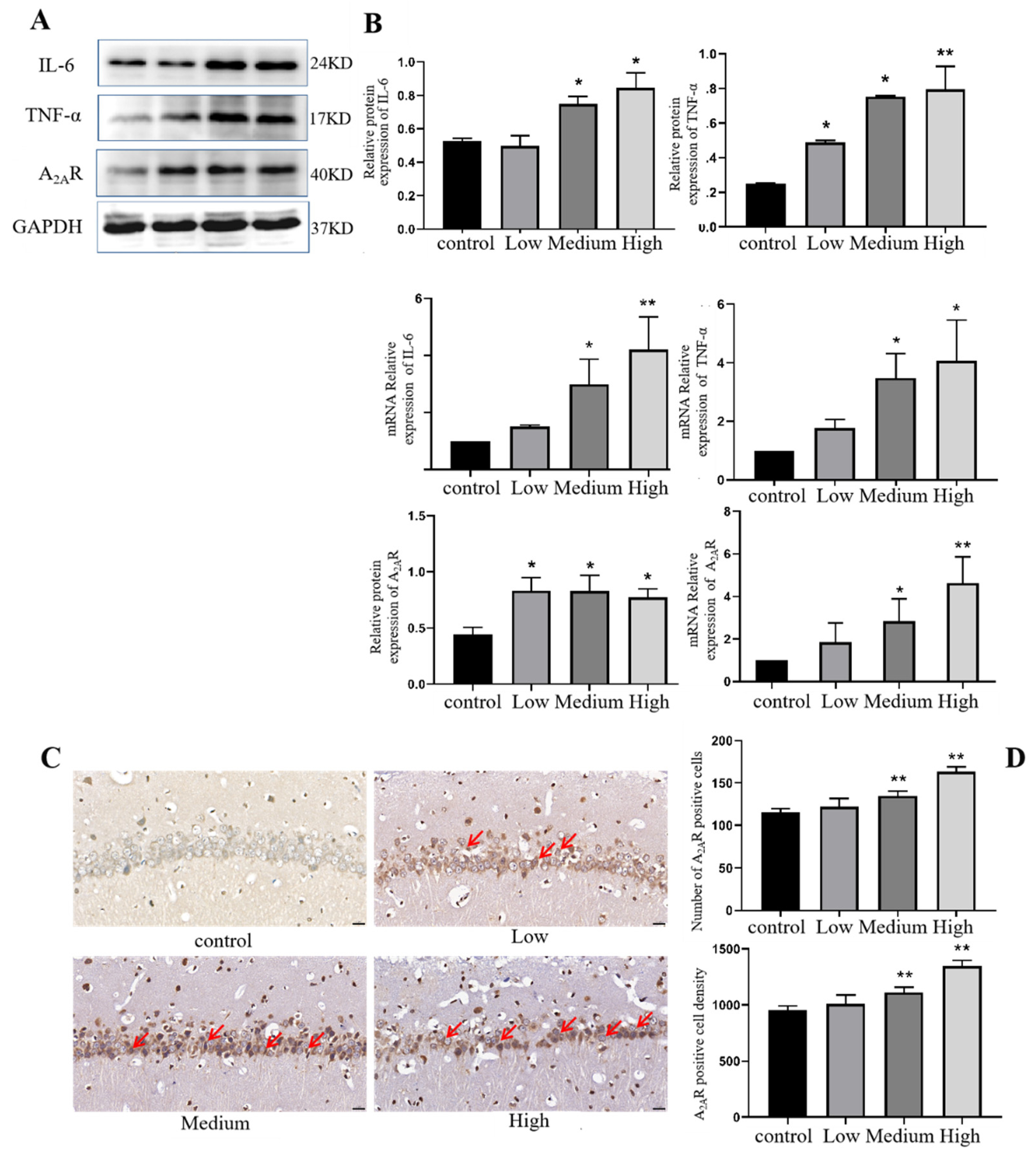 Preprints 89490 g010