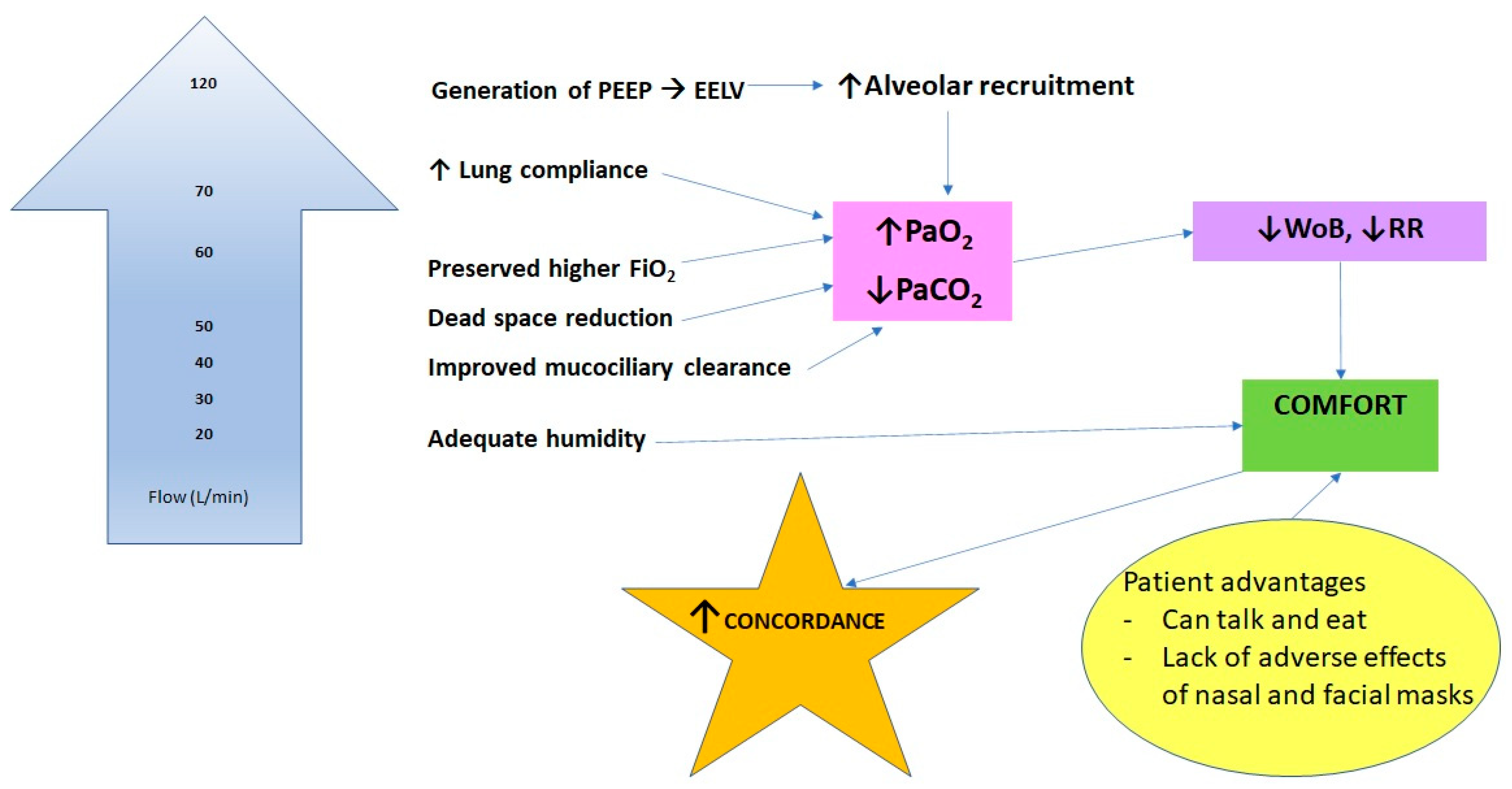 Preprints 81151 g001