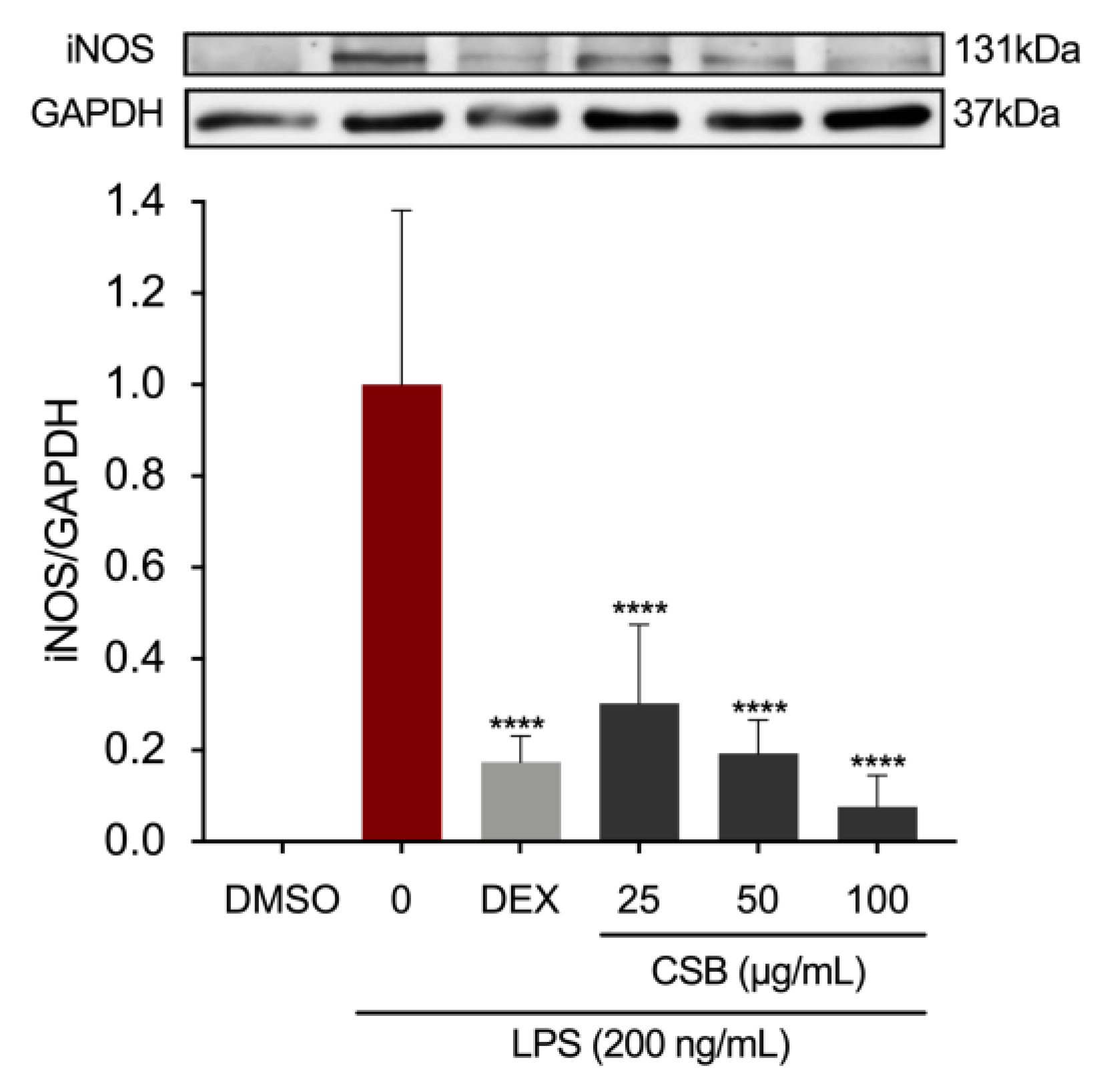 Preprints 102243 g005