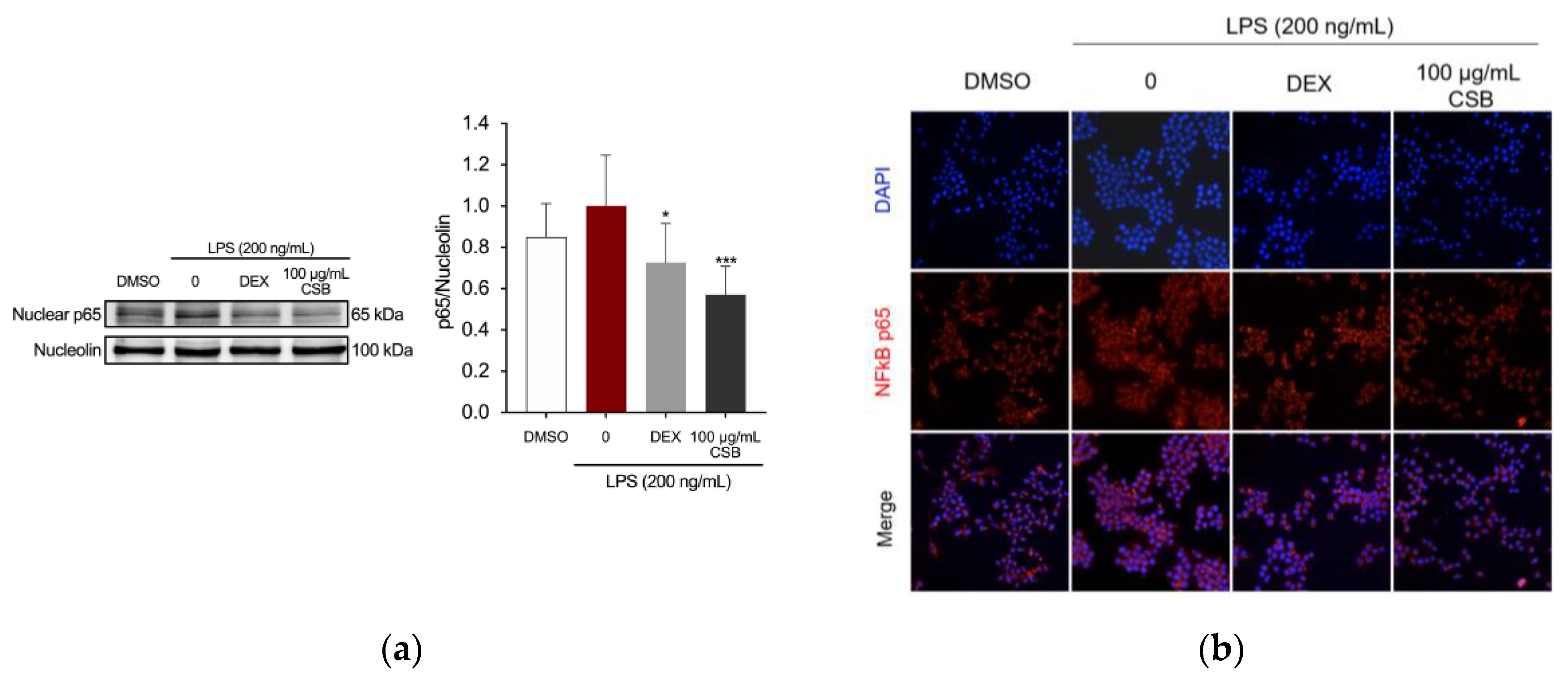 Preprints 102243 g006