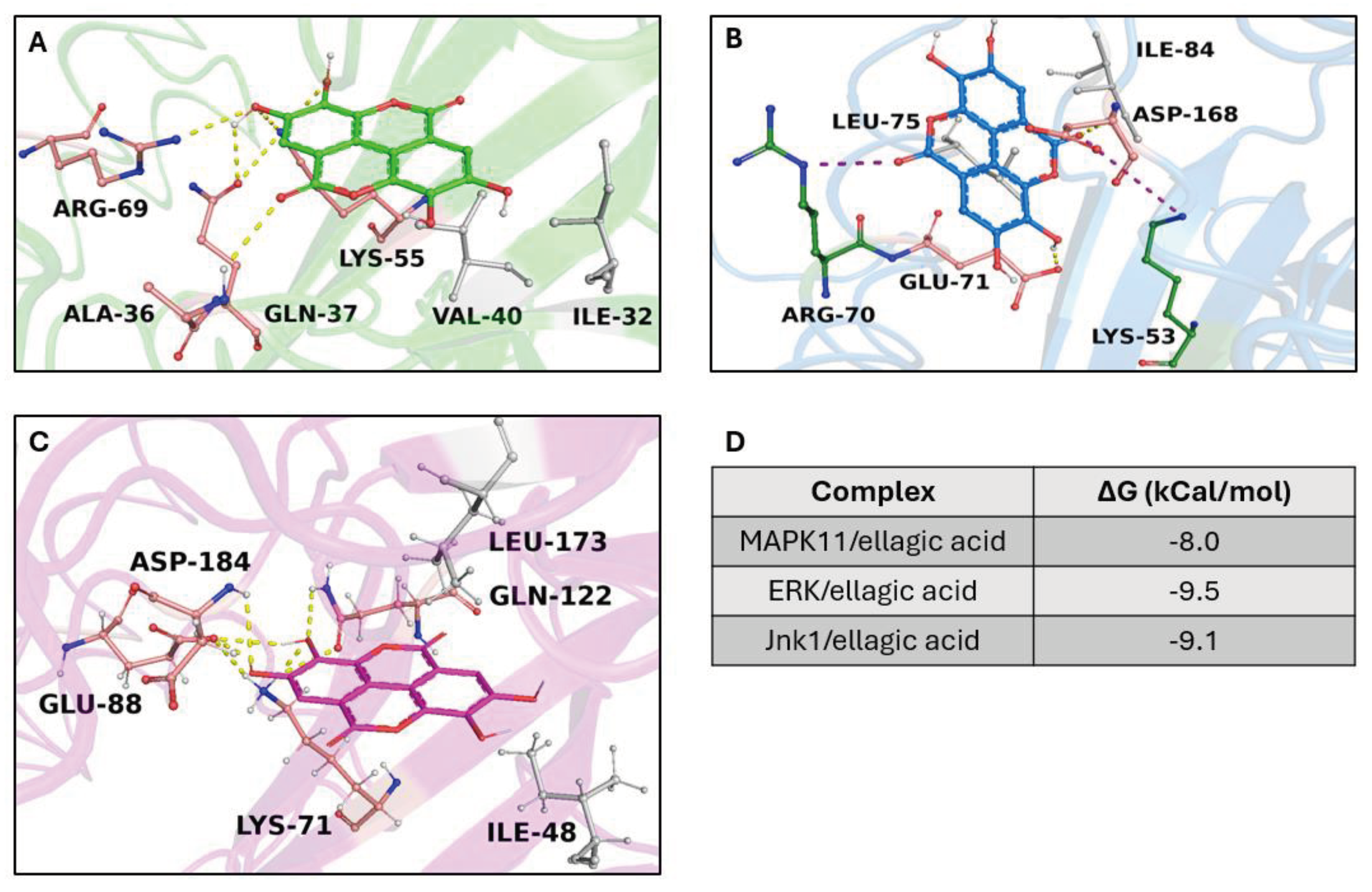 Preprints 102243 g008