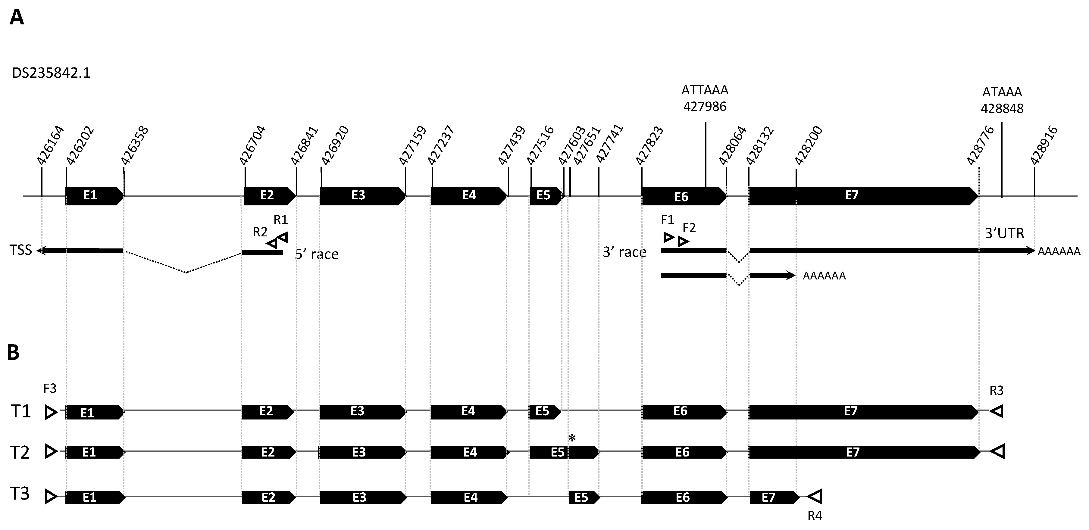 Preprints 107678 g001