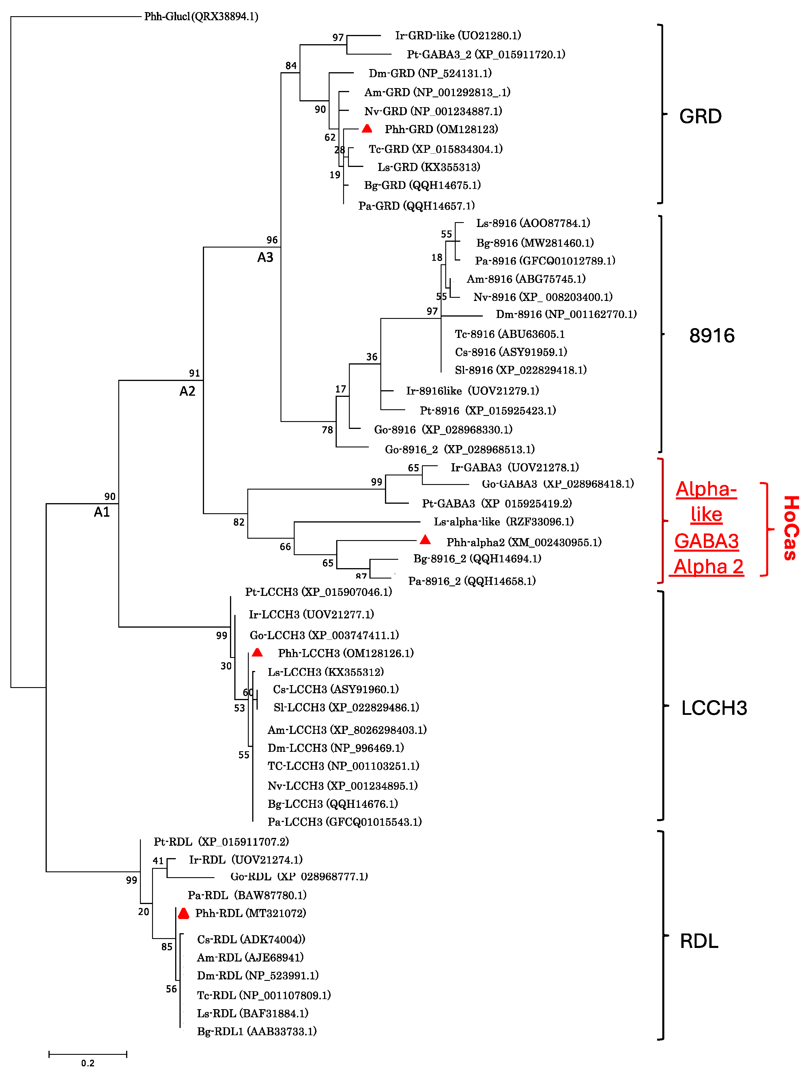 Preprints 107678 g002