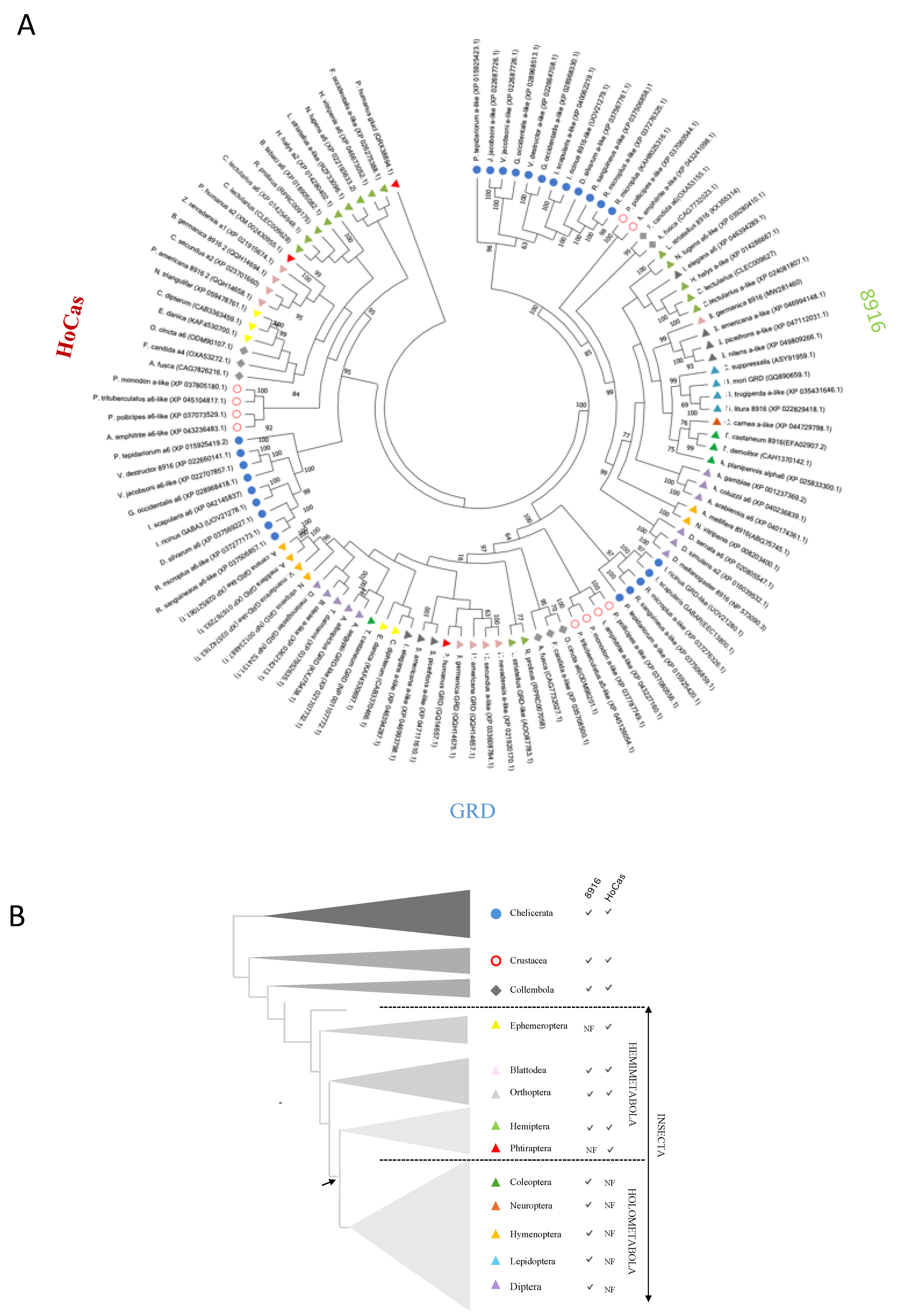 Preprints 107678 g003