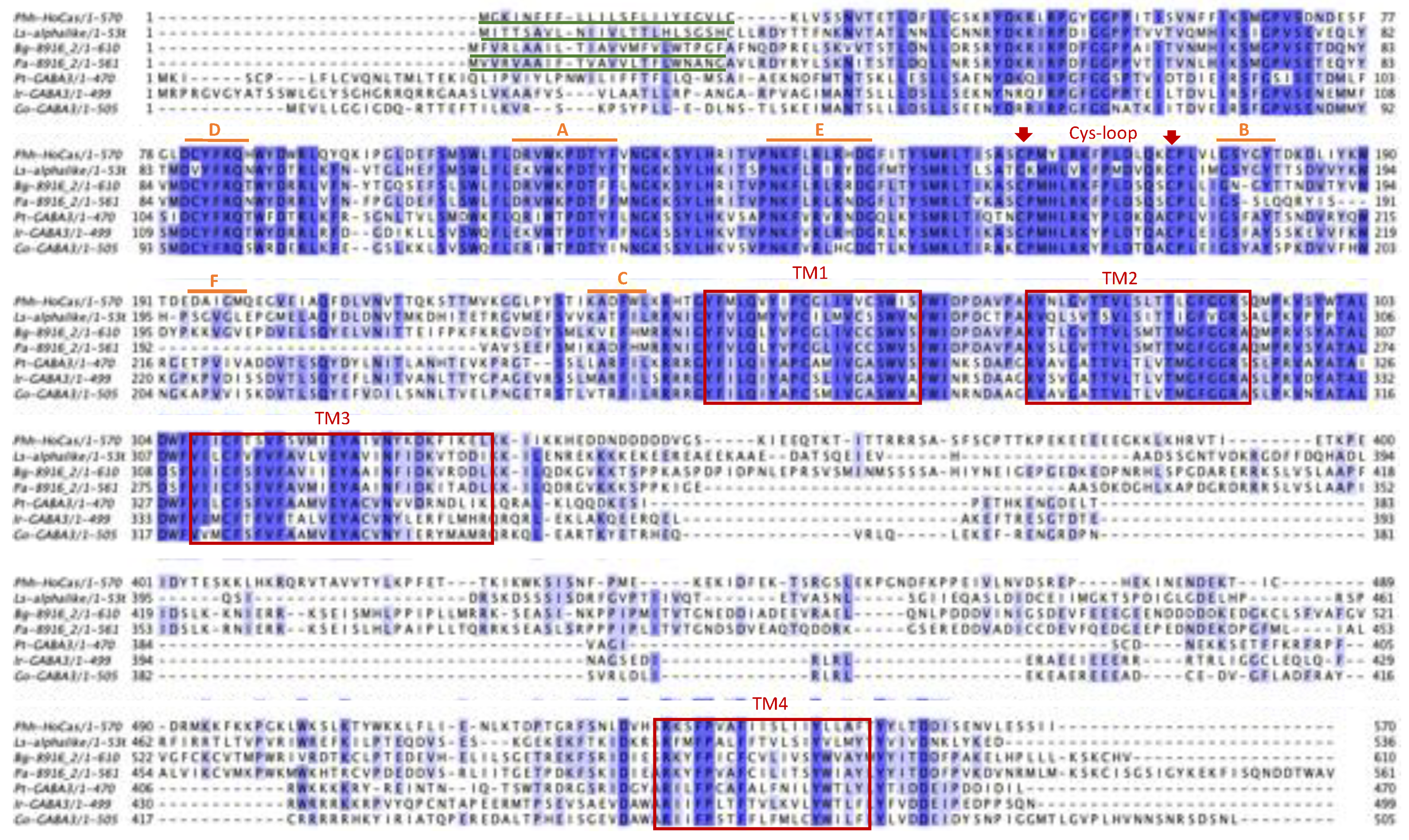 Preprints 107678 g004