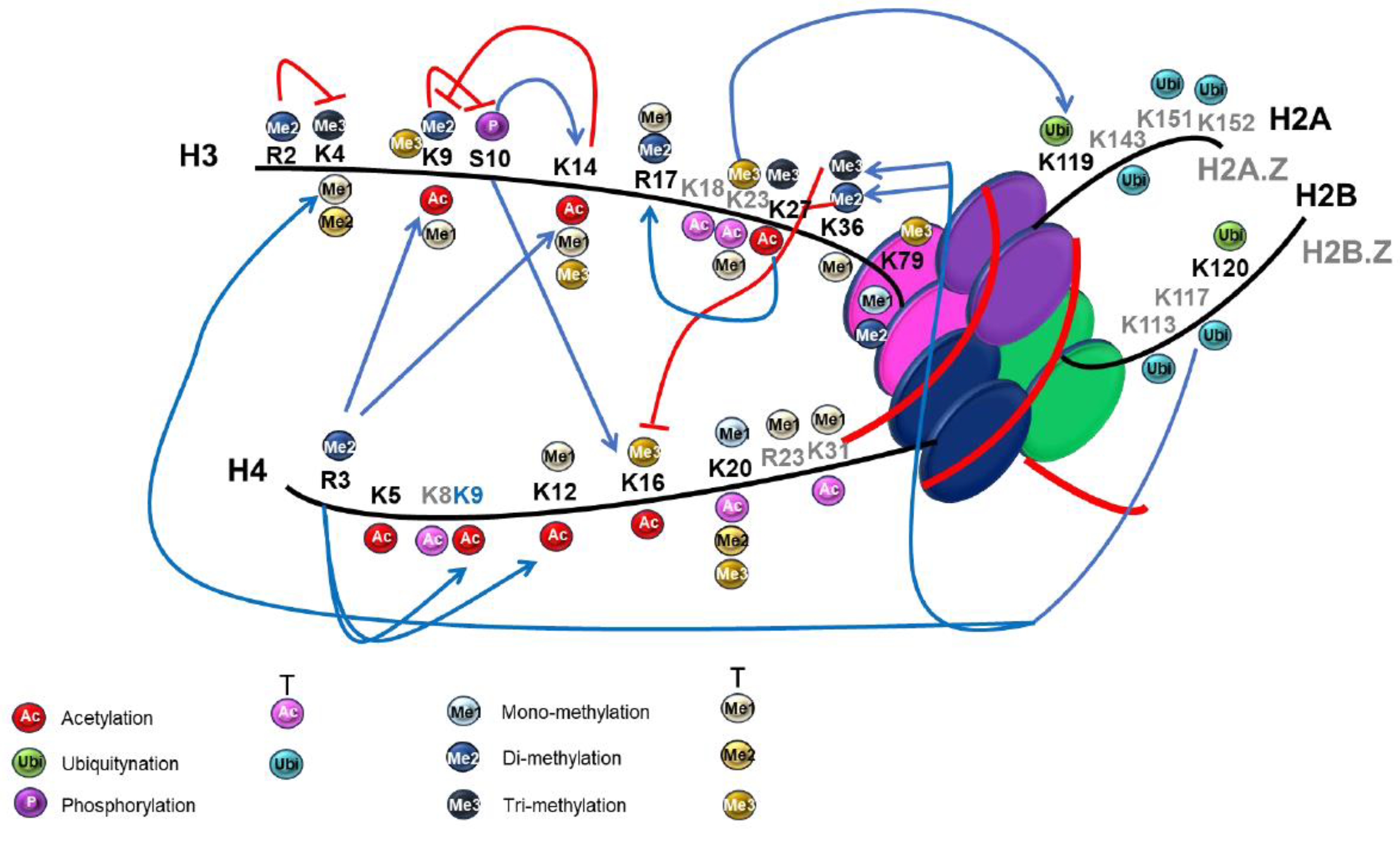 Preprints 90623 g003