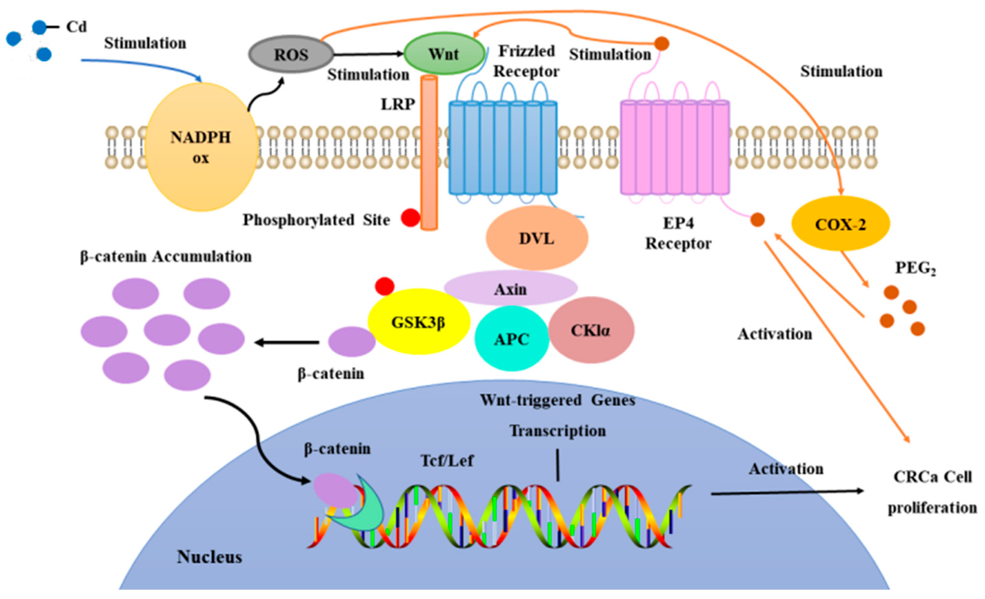 Preprints 95666 g001