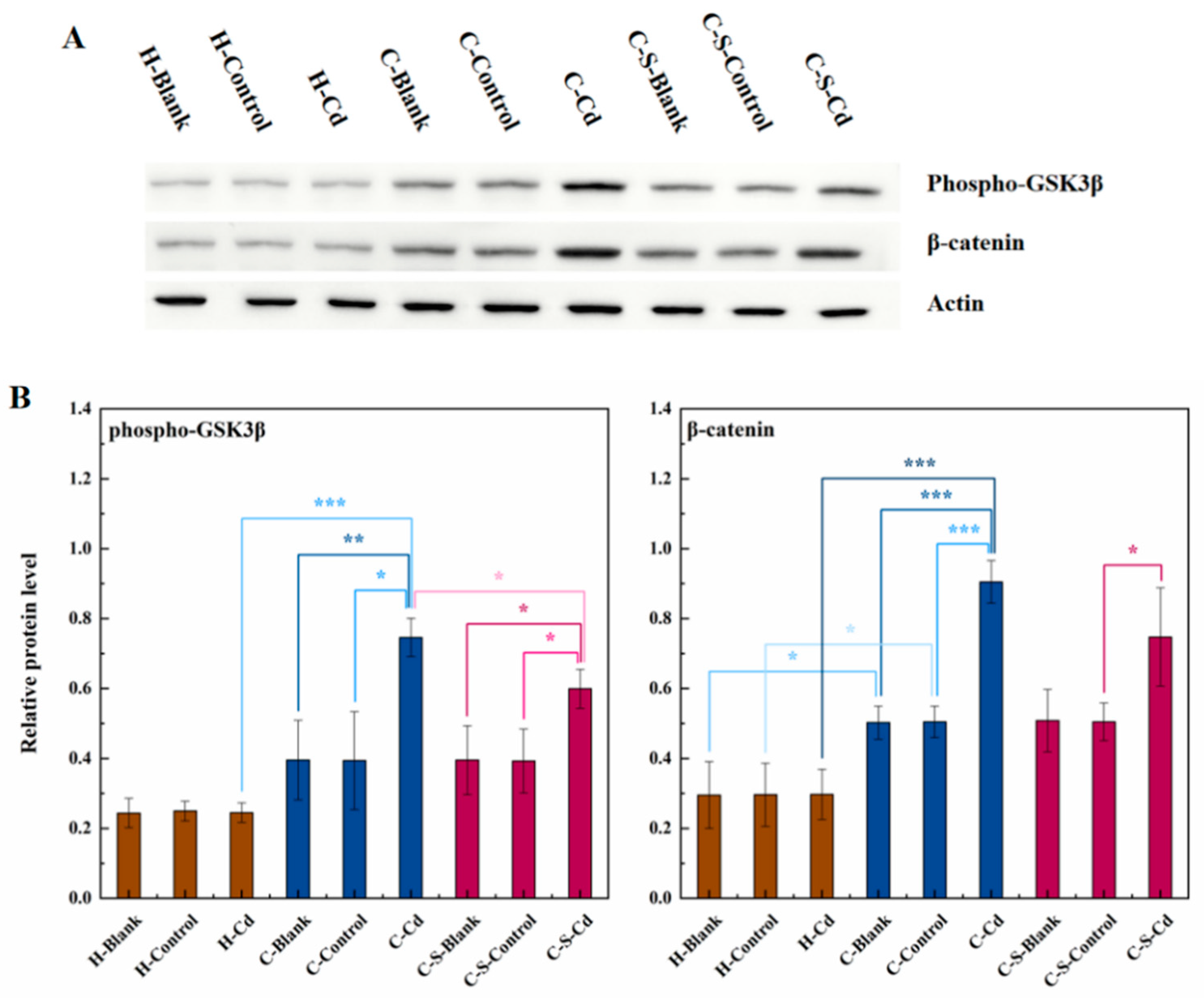 Preprints 95666 g004