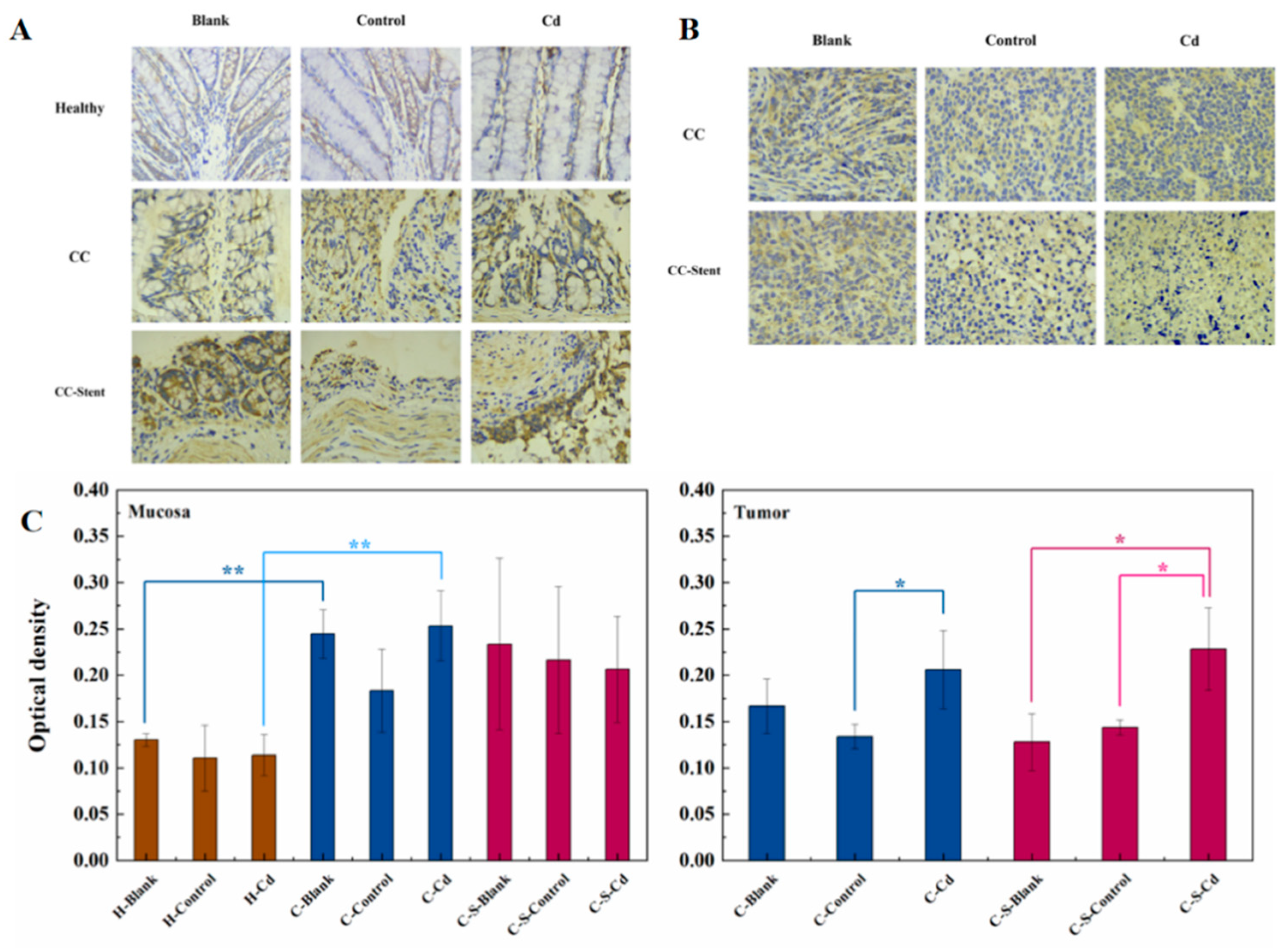 Preprints 95666 g005