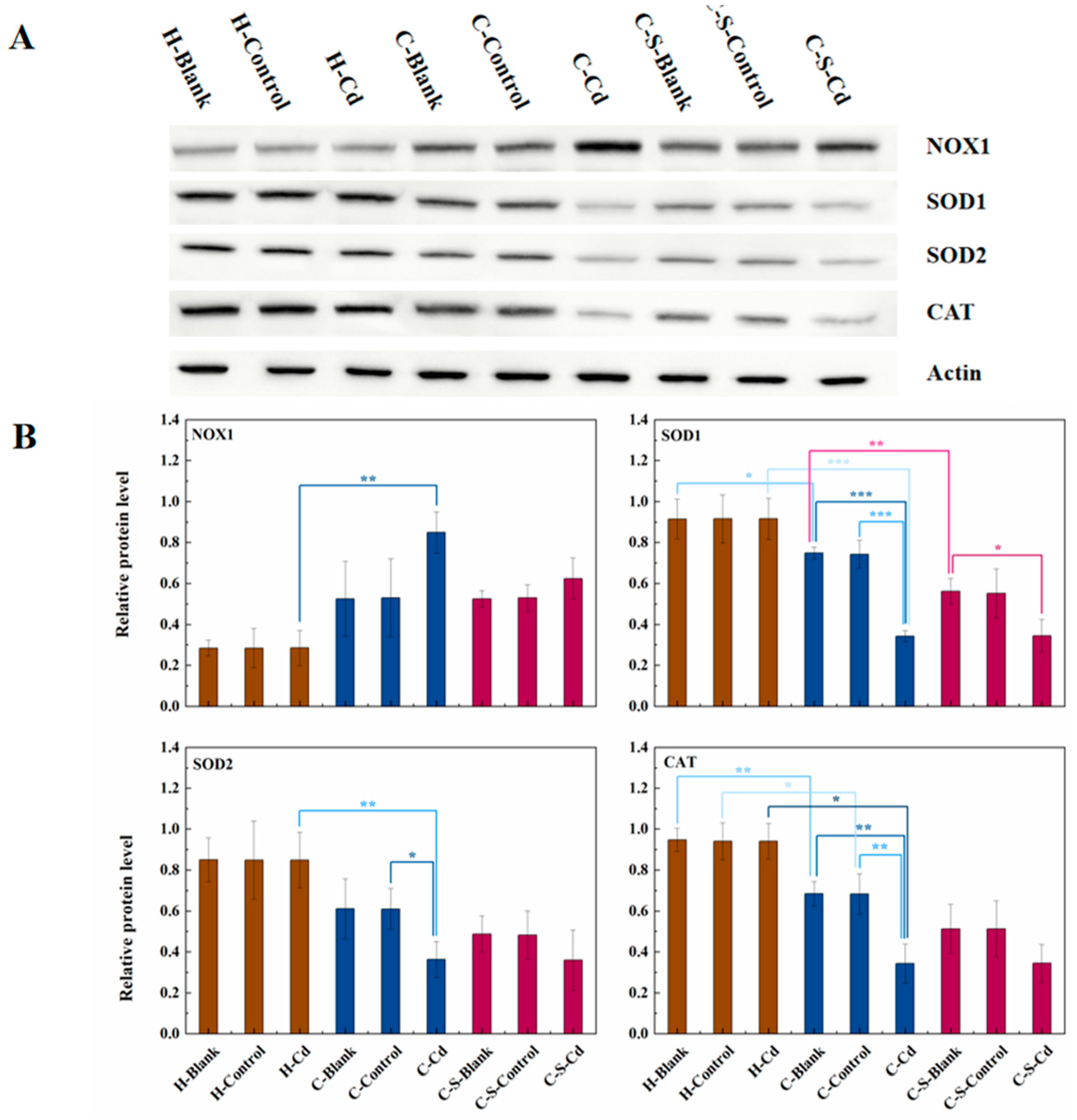 Preprints 95666 g006