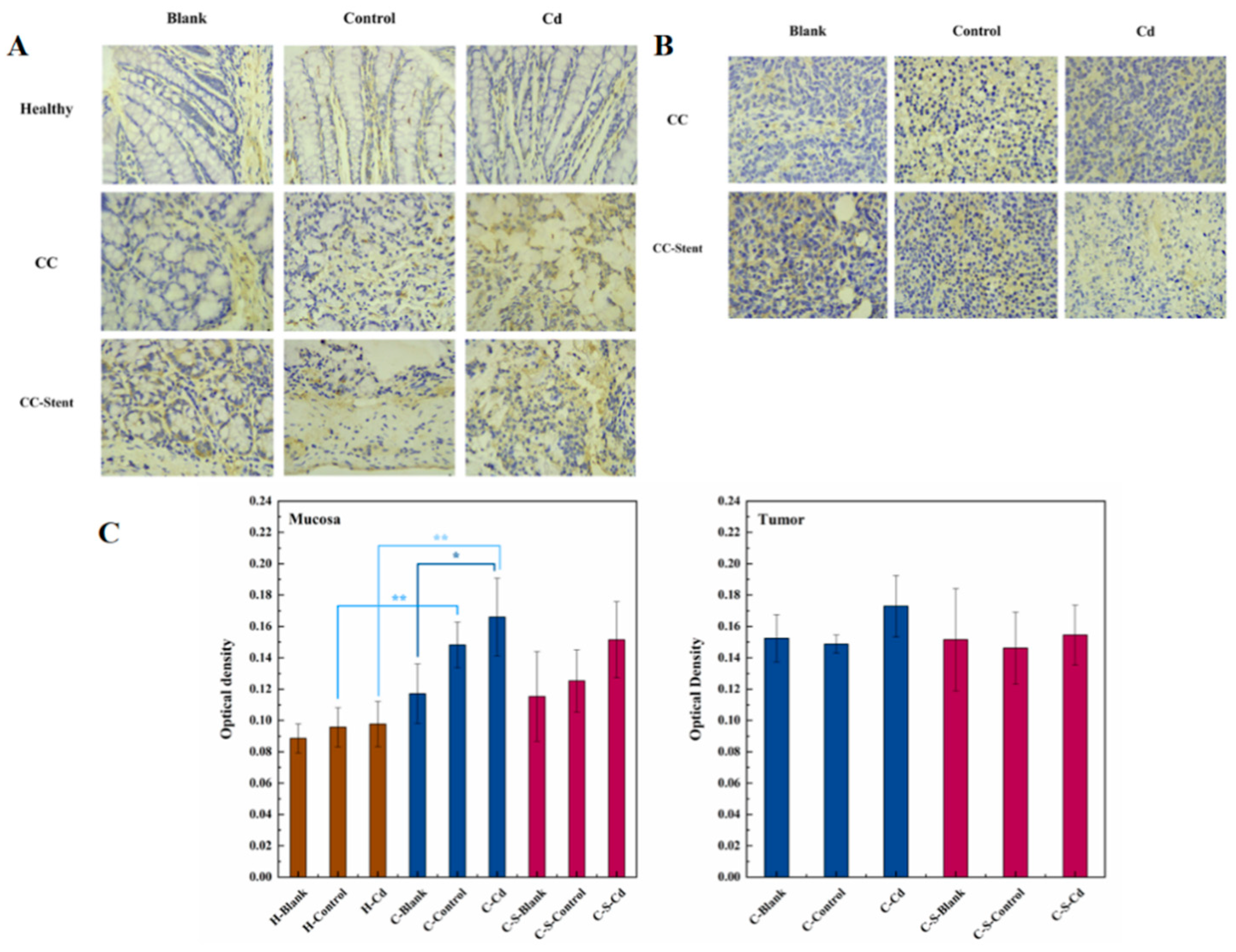 Preprints 95666 g007