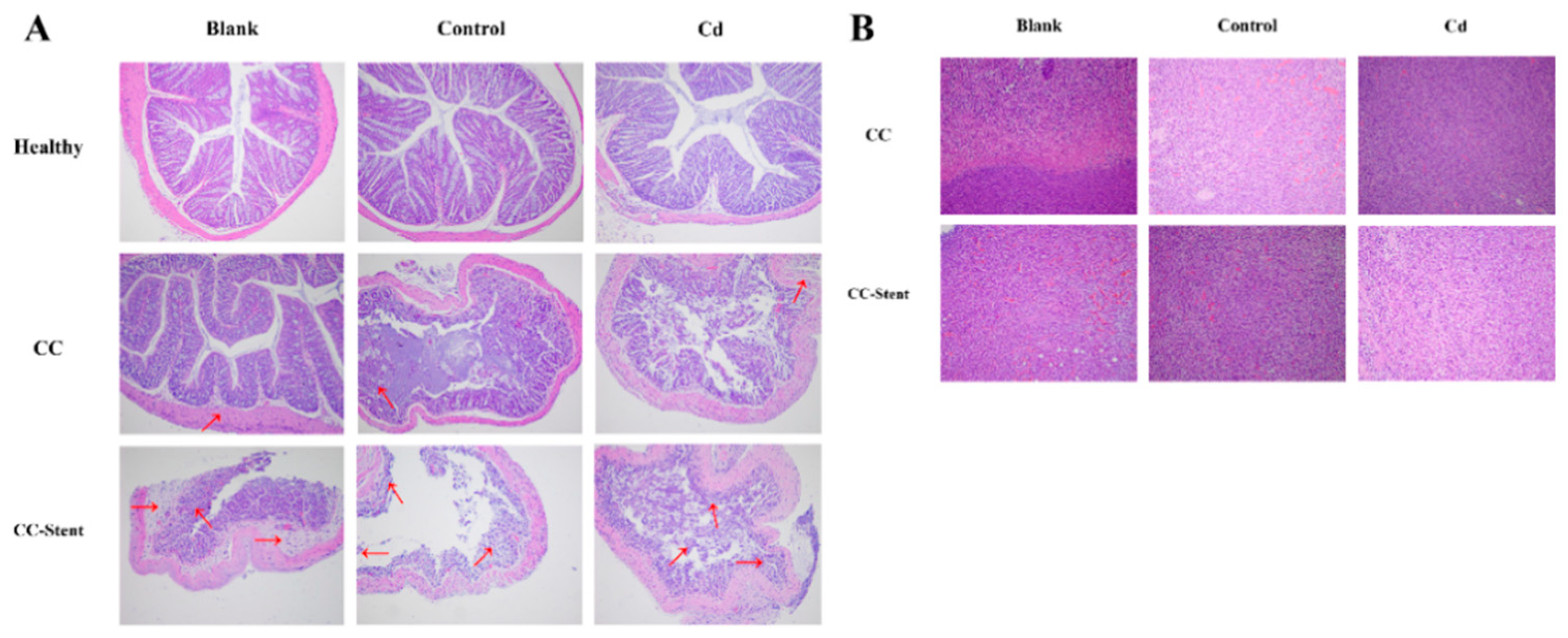 Preprints 95666 g008